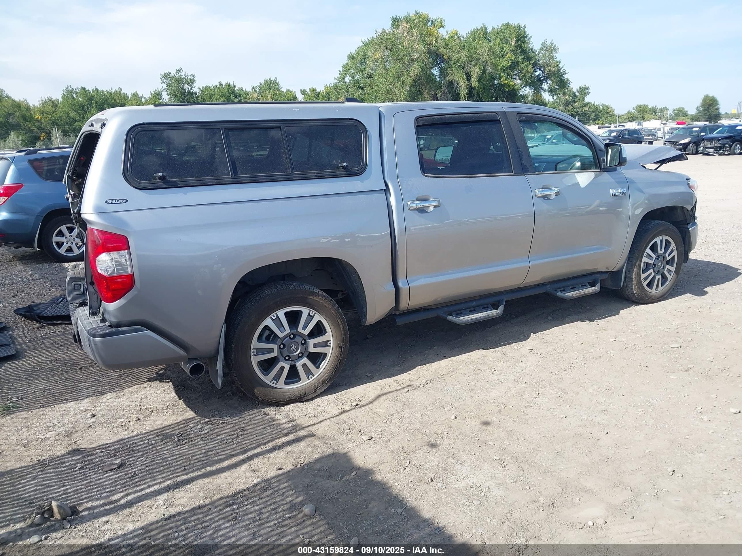 2020 Toyota Tundra Platinum Silver vin: 5TFAY5F18LX916513