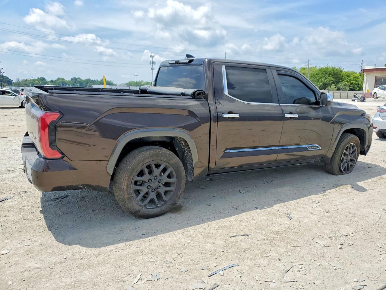 2025 Toyota Tundra 1794 Edition Коричневый vin: 5TFMA5DB8SX311855