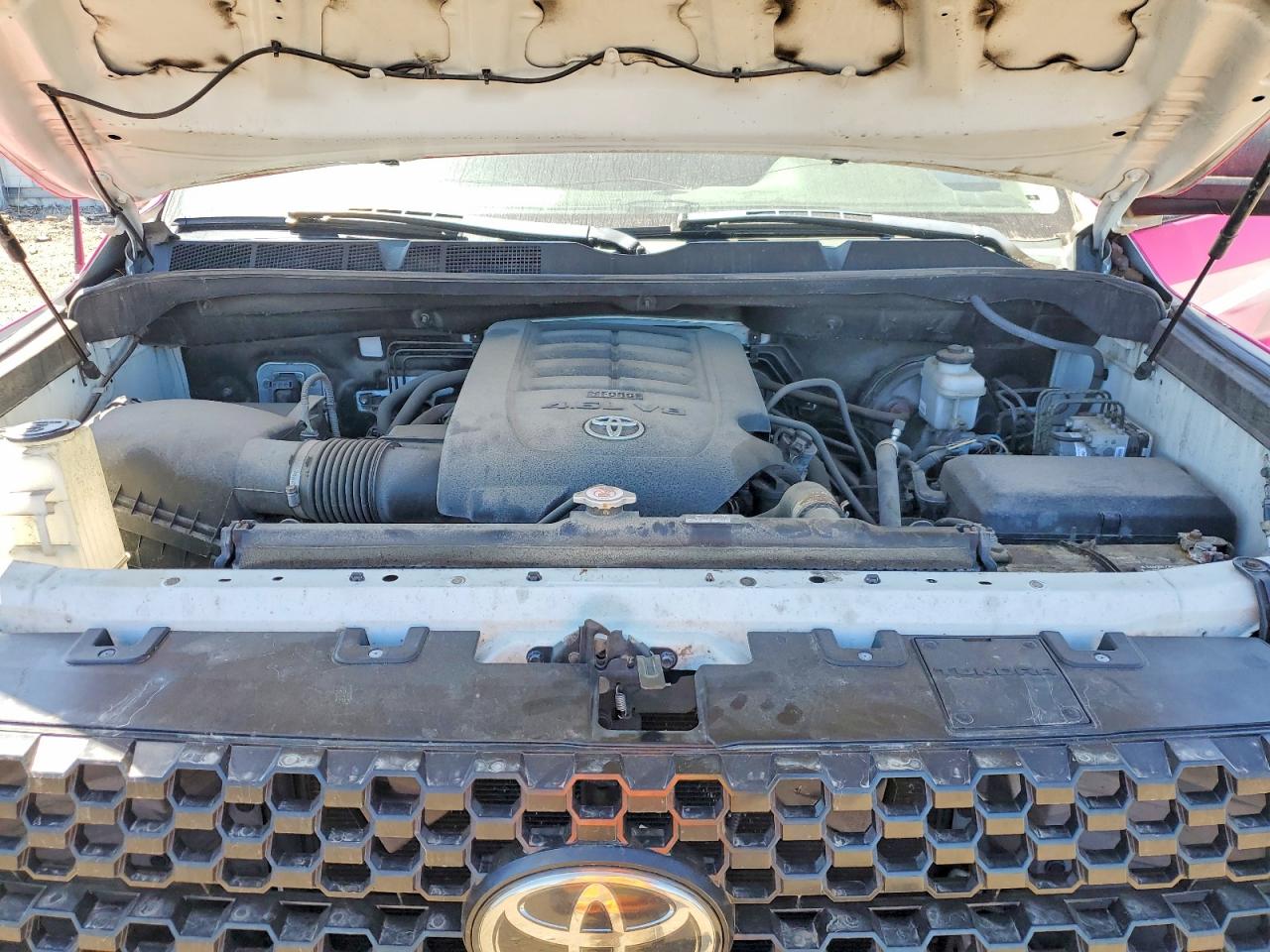 2019 Toyota Tundra White vin: 5TFRM5F10KX141444
