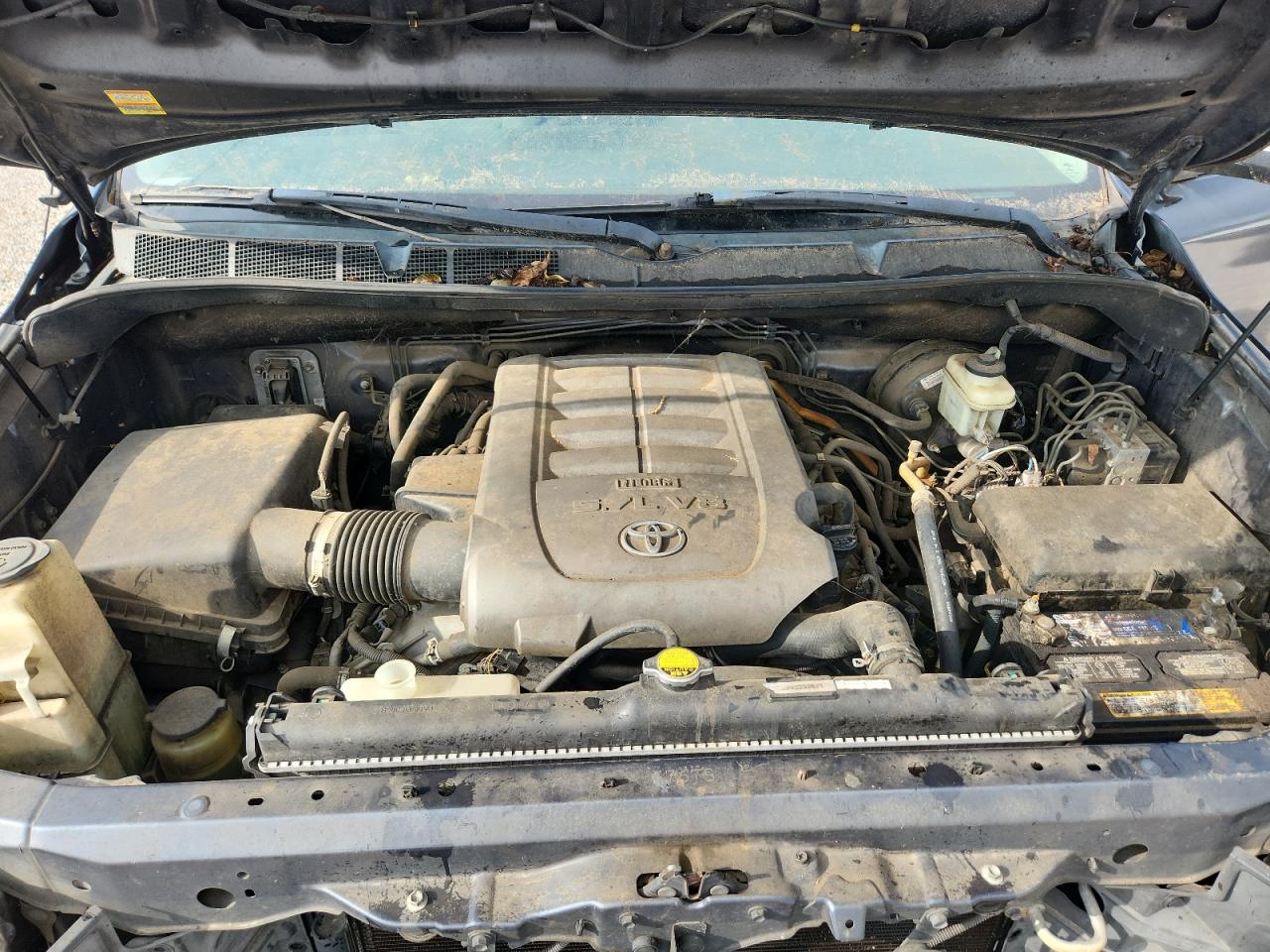 2008 Toyota Tundra Grade Blue vin: 5TFRV54148X063792