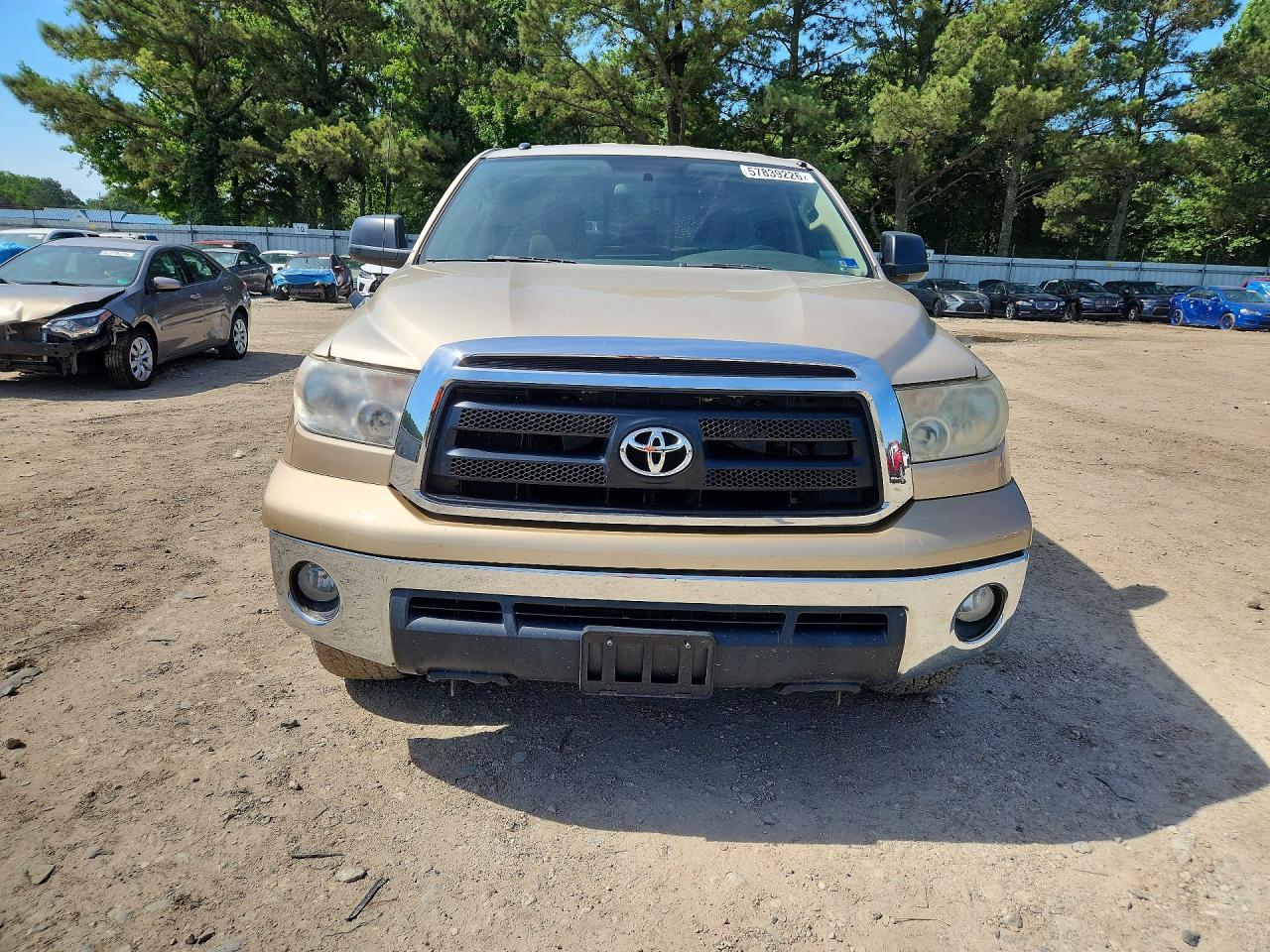 2010 Toyota Tundra Gold vin: 5TFRY5F12AX082769