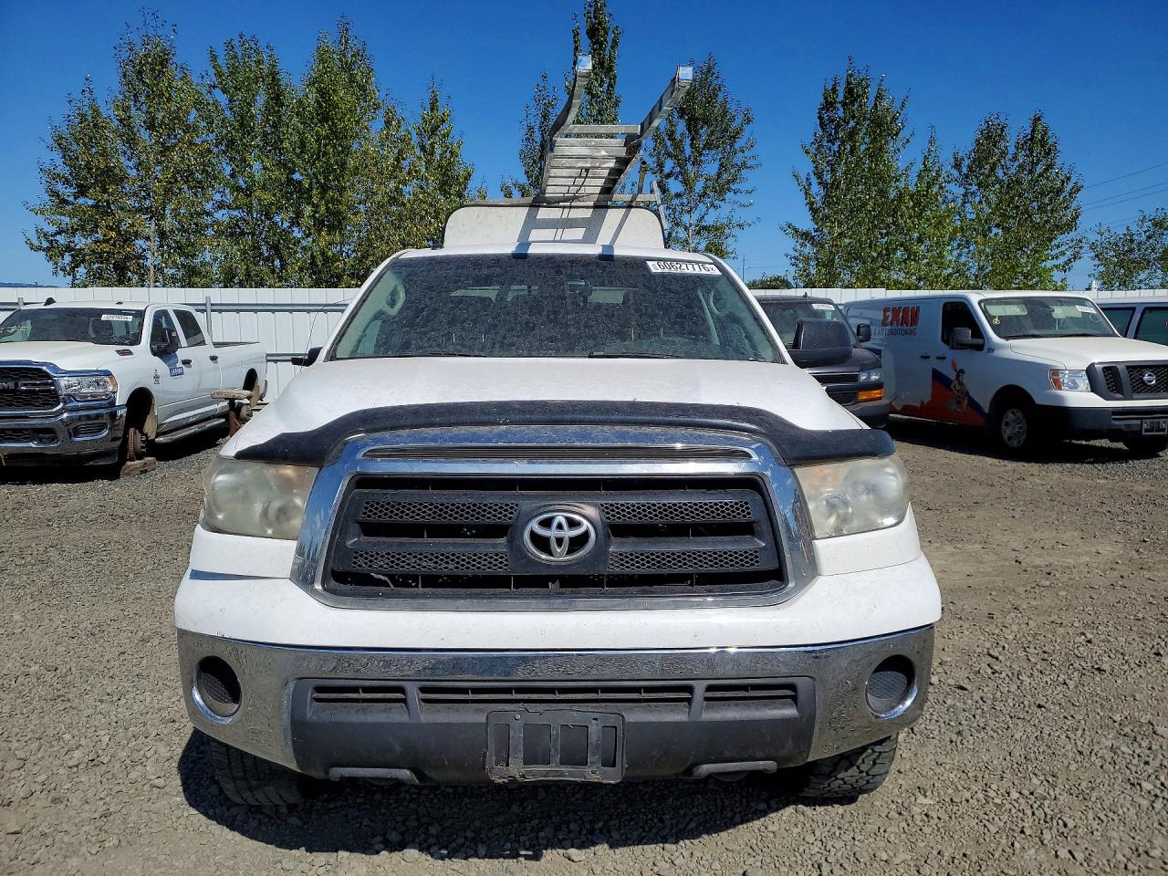 2010 Toyota Tundra Double Cab Sr5 White vin: 5TFUM5F19AX004124