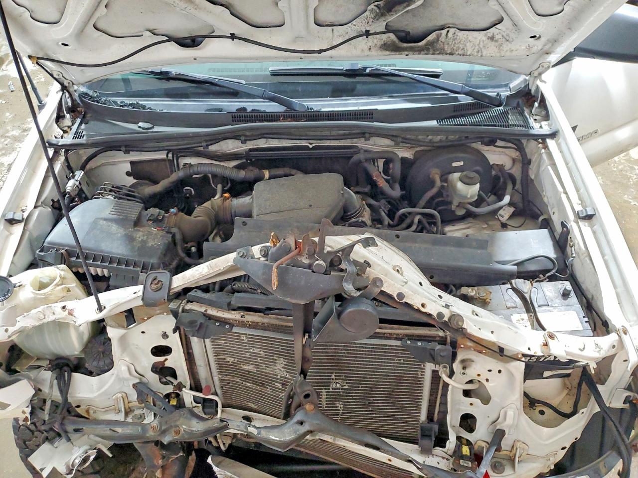2011 Toyota Tacoma Base White vin: 5TFUX4EN3BX001484