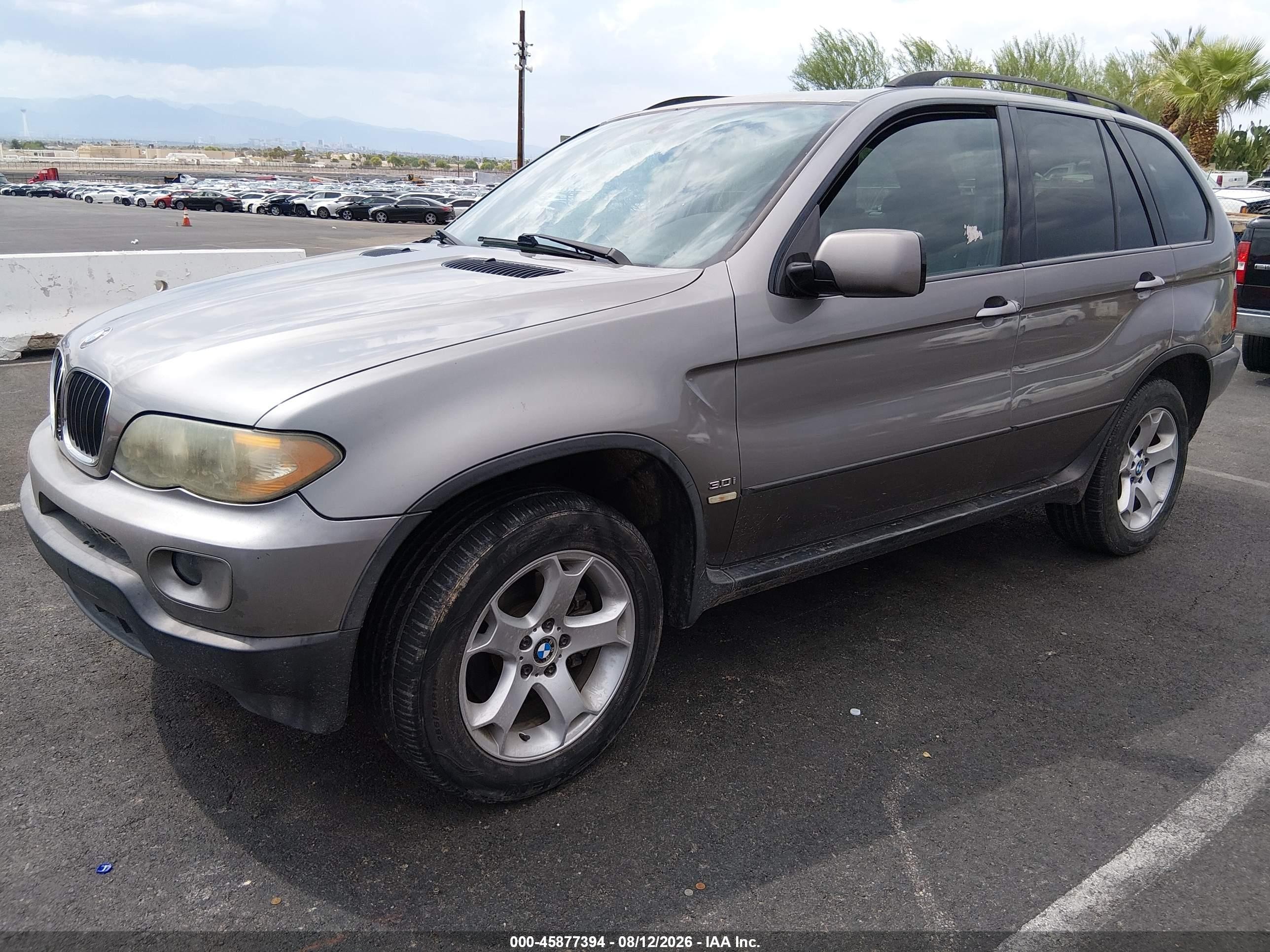 2006 Bmw X5 3.0i Gray vin: 5UXFA13516LY34661