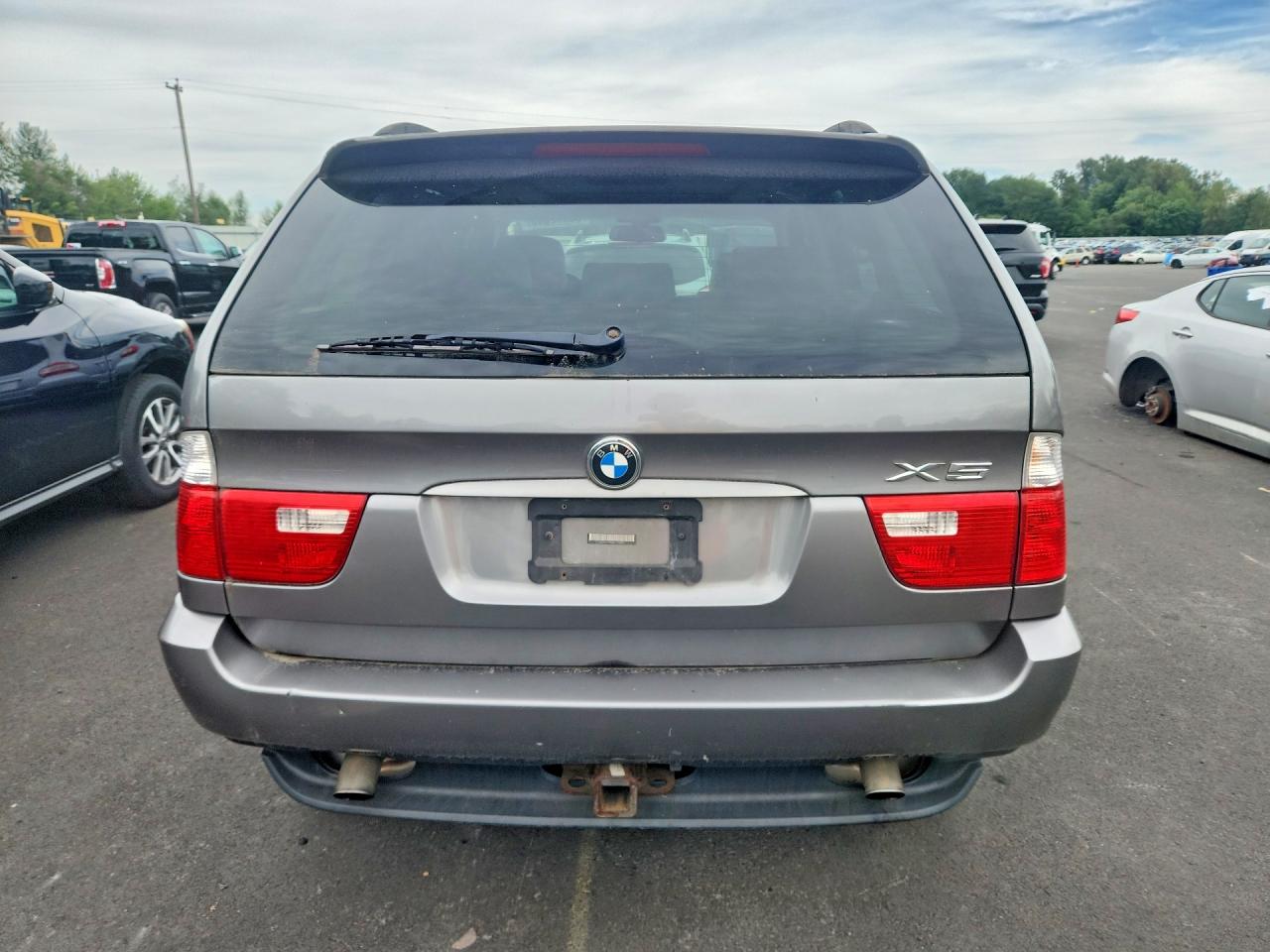 2006 Bmw X5 3.0i Gray vin: 5UXFA13566LY32906