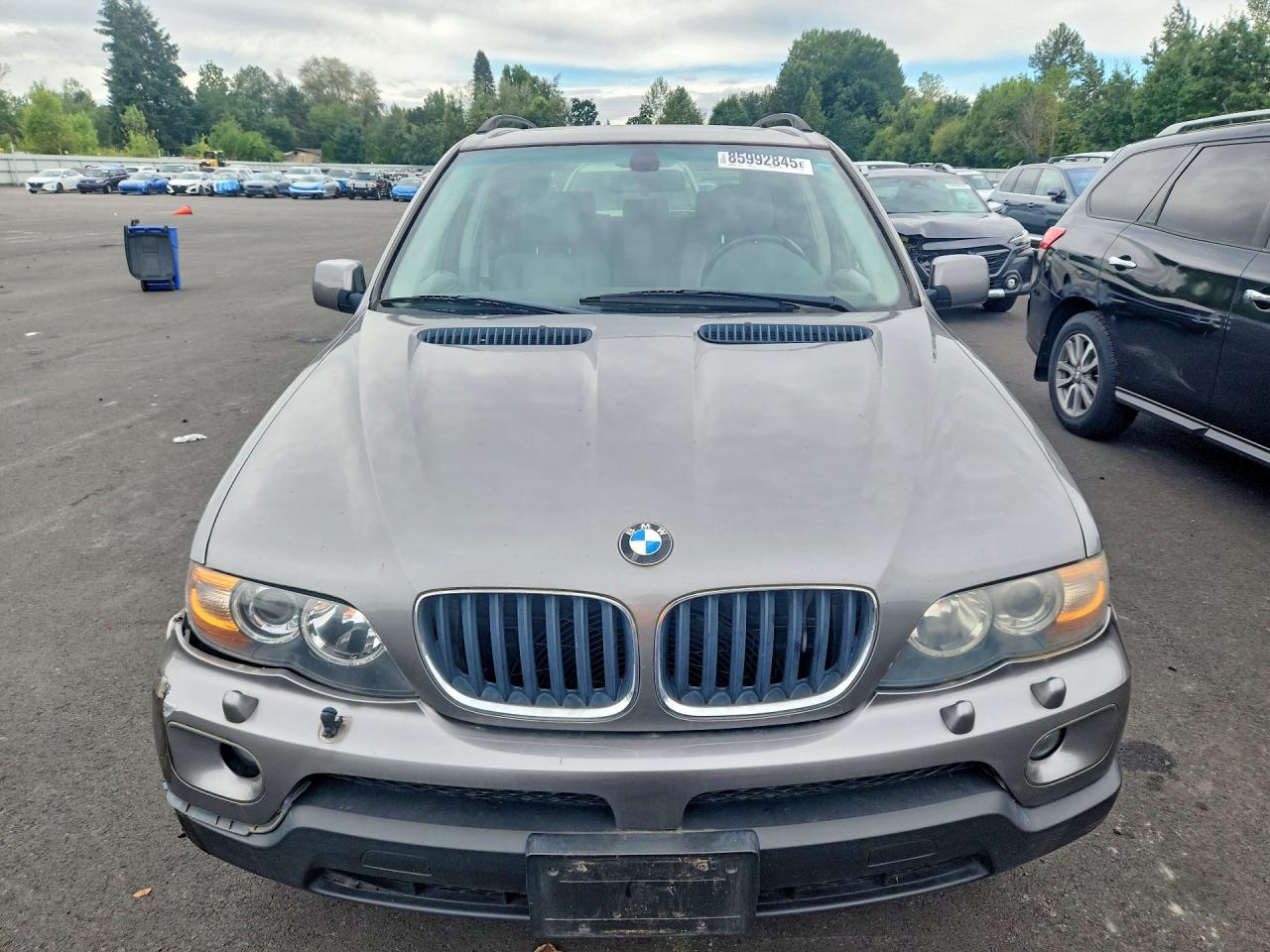 2006 Bmw X5 3.0i Gray vin: 5UXFA13566LY32906