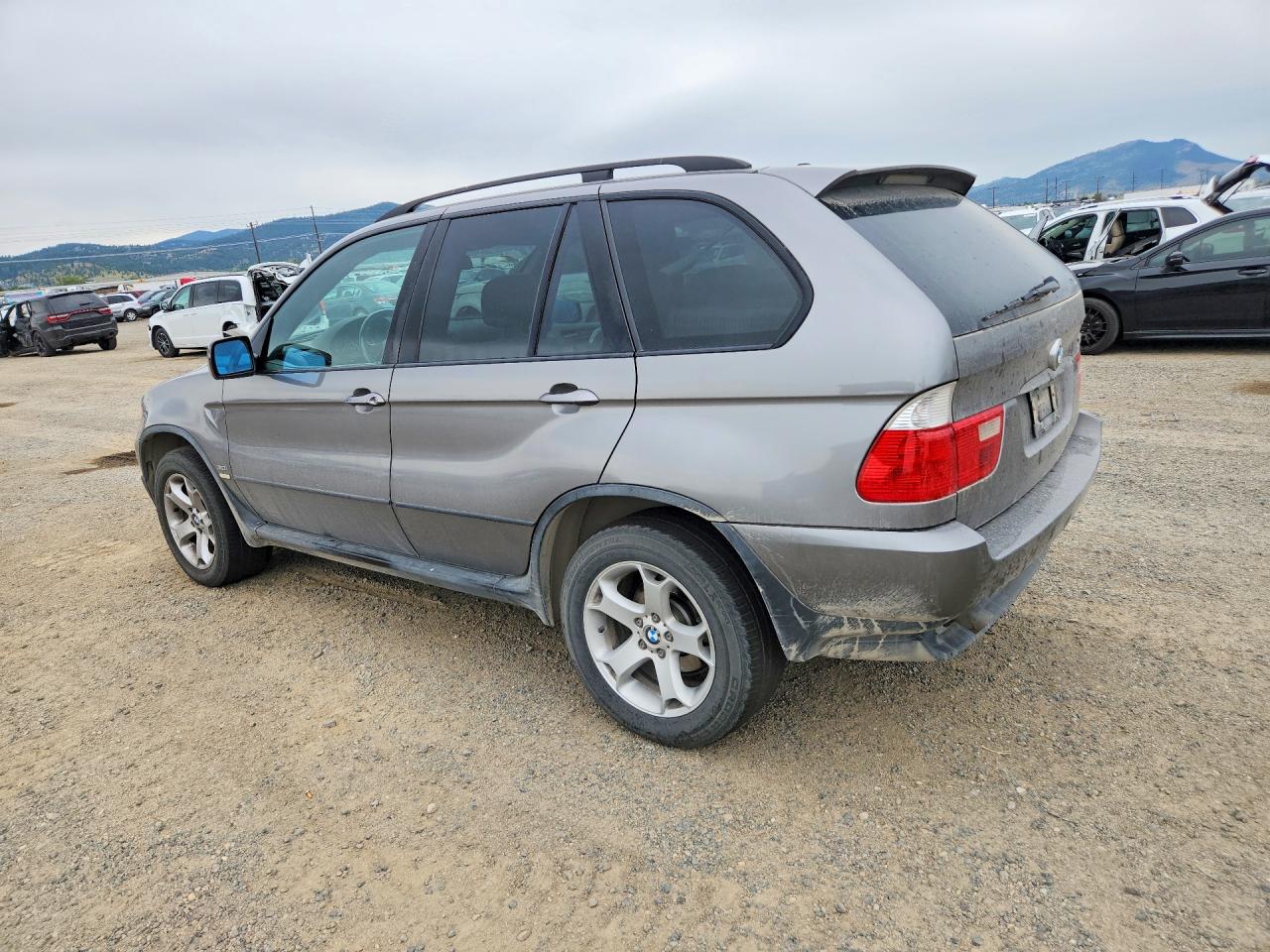 2006 Bmw X5 3.0i Gray vin: 5UXFA13566LY42416
