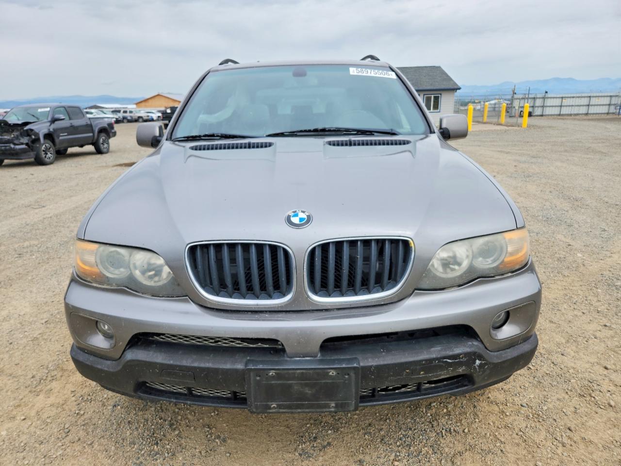 2006 Bmw X5 3.0i Gray vin: 5UXFA13566LY42416