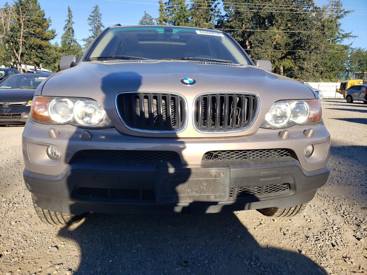 2005 Bmw X5 3.0i Tan vin: 5UXFA13595LY10557