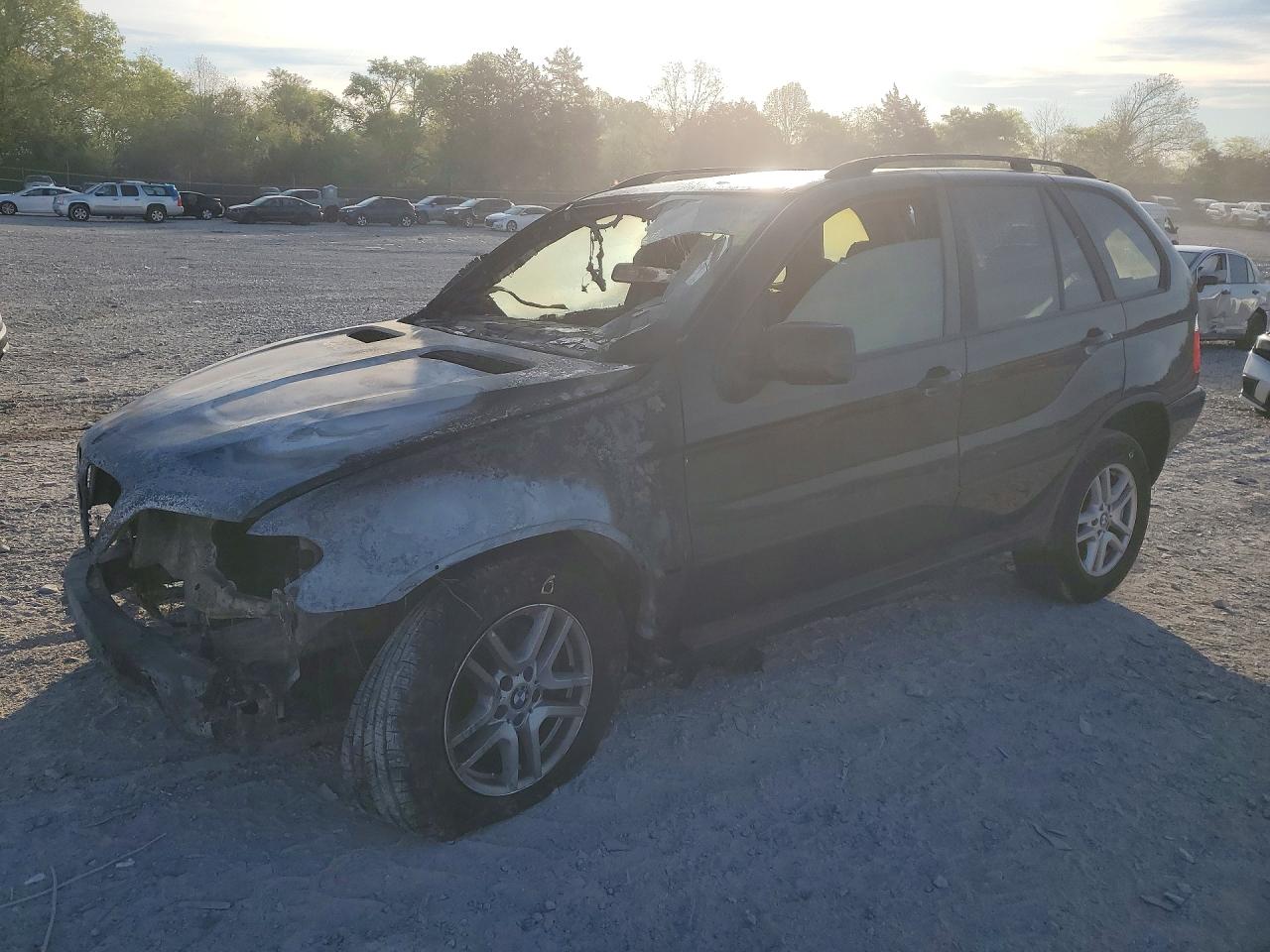 2004 Bmw X5 3.0i Black vin: 5UXFA135X4LU43022