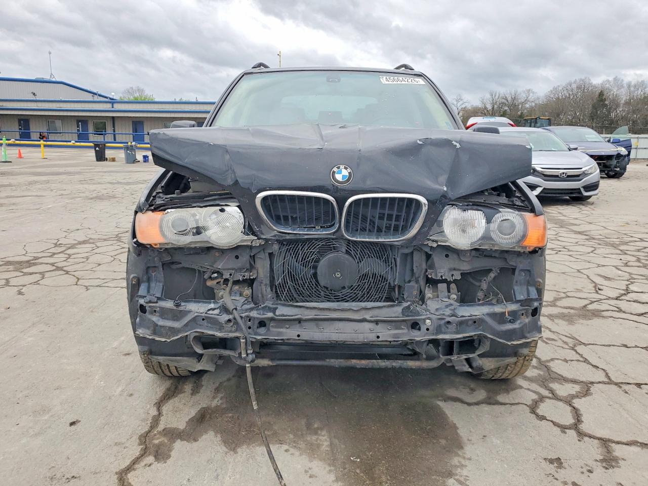2003 Bmw X5 3.0i Black vin: 5UXFA53503LW26094