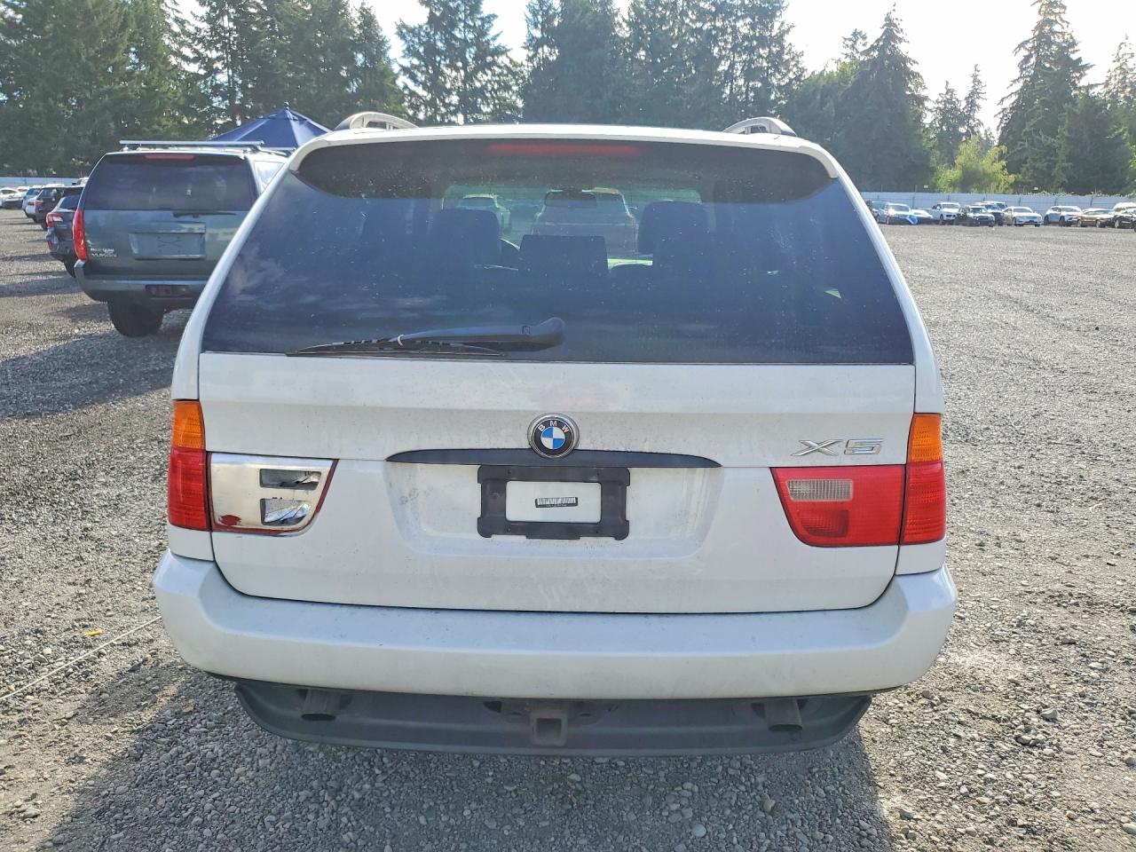 2002 Bmw X5 3.0i White vin: 5UXFA53572LP35361