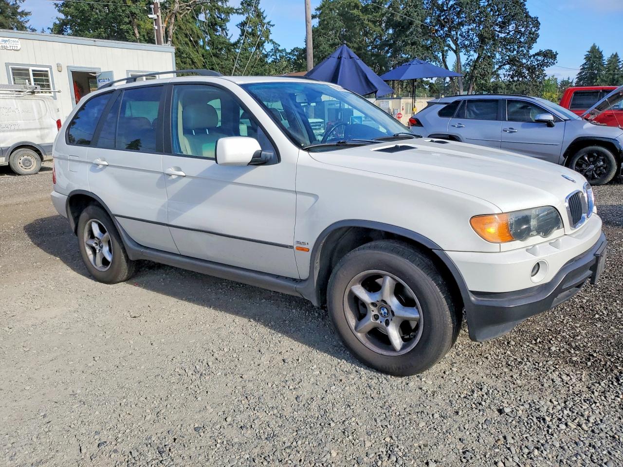 2002 Bmw X5 3.0i White vin: 5UXFA53572LP35361