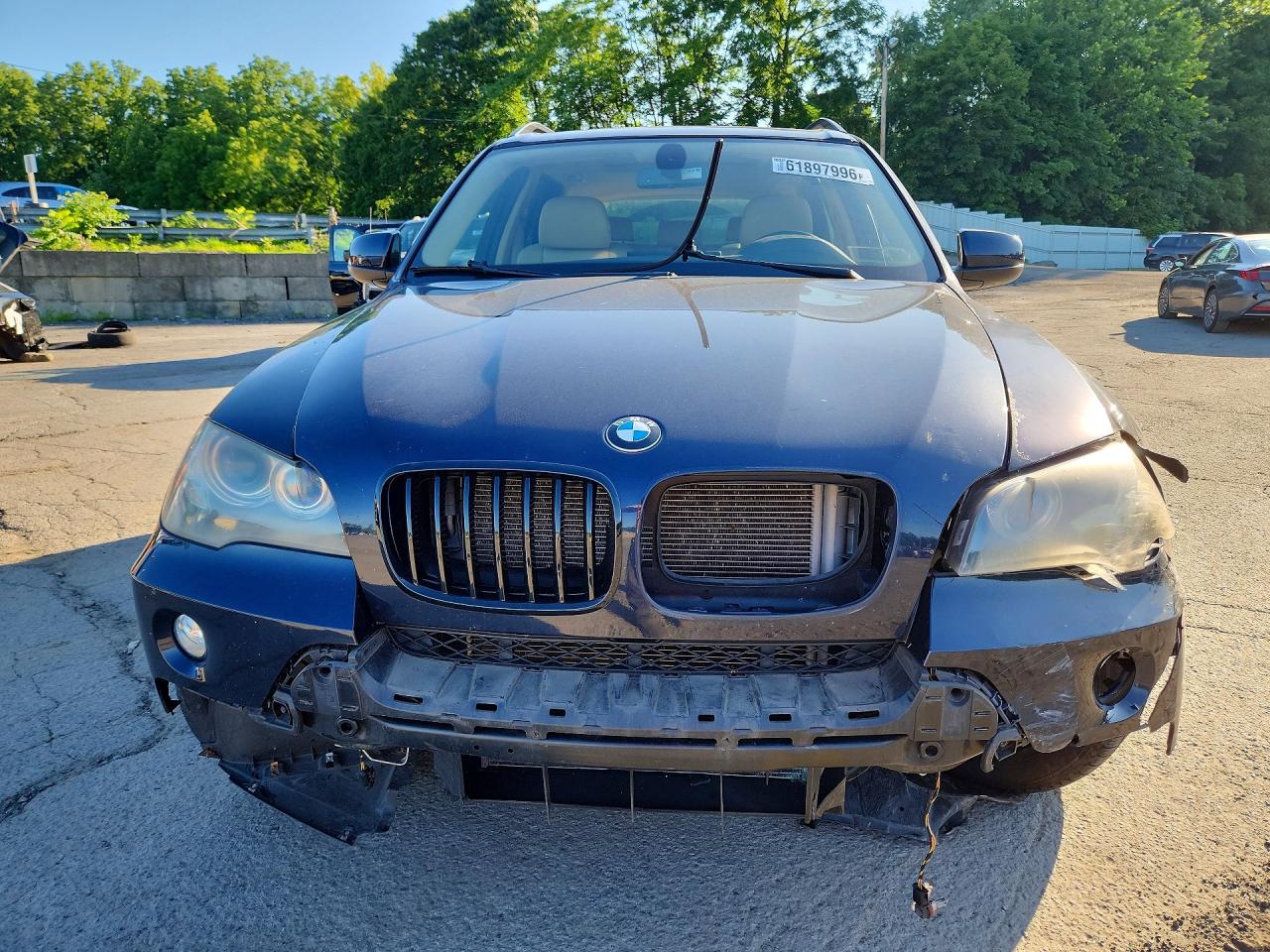 2010 Bmw X5 Xdrive30i Blue vin: 5UXFE4C58AL382044