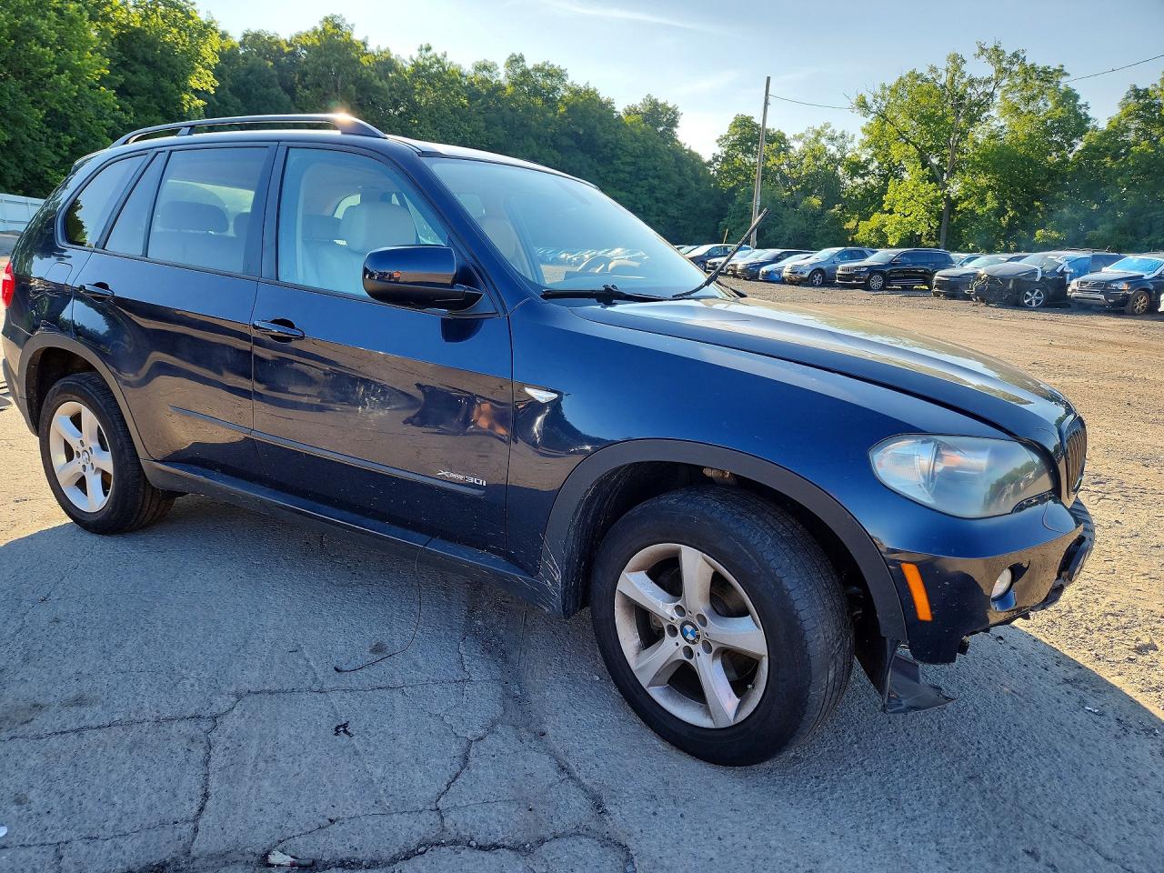 2010 Bmw X5 Xdrive30i Blue vin: 5UXFE4C58AL382044