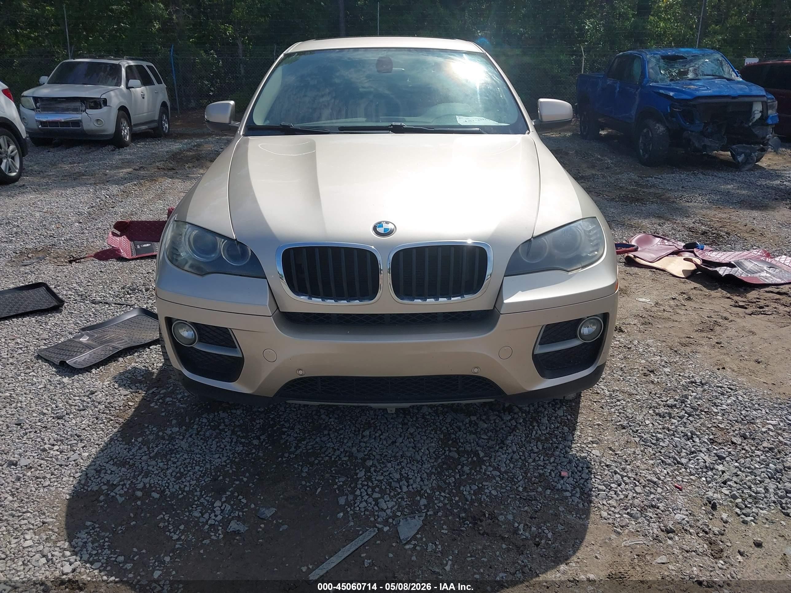 2013 Bmw X6 Xdrive35i Champagne vin: 5UXFG2C52DL788534