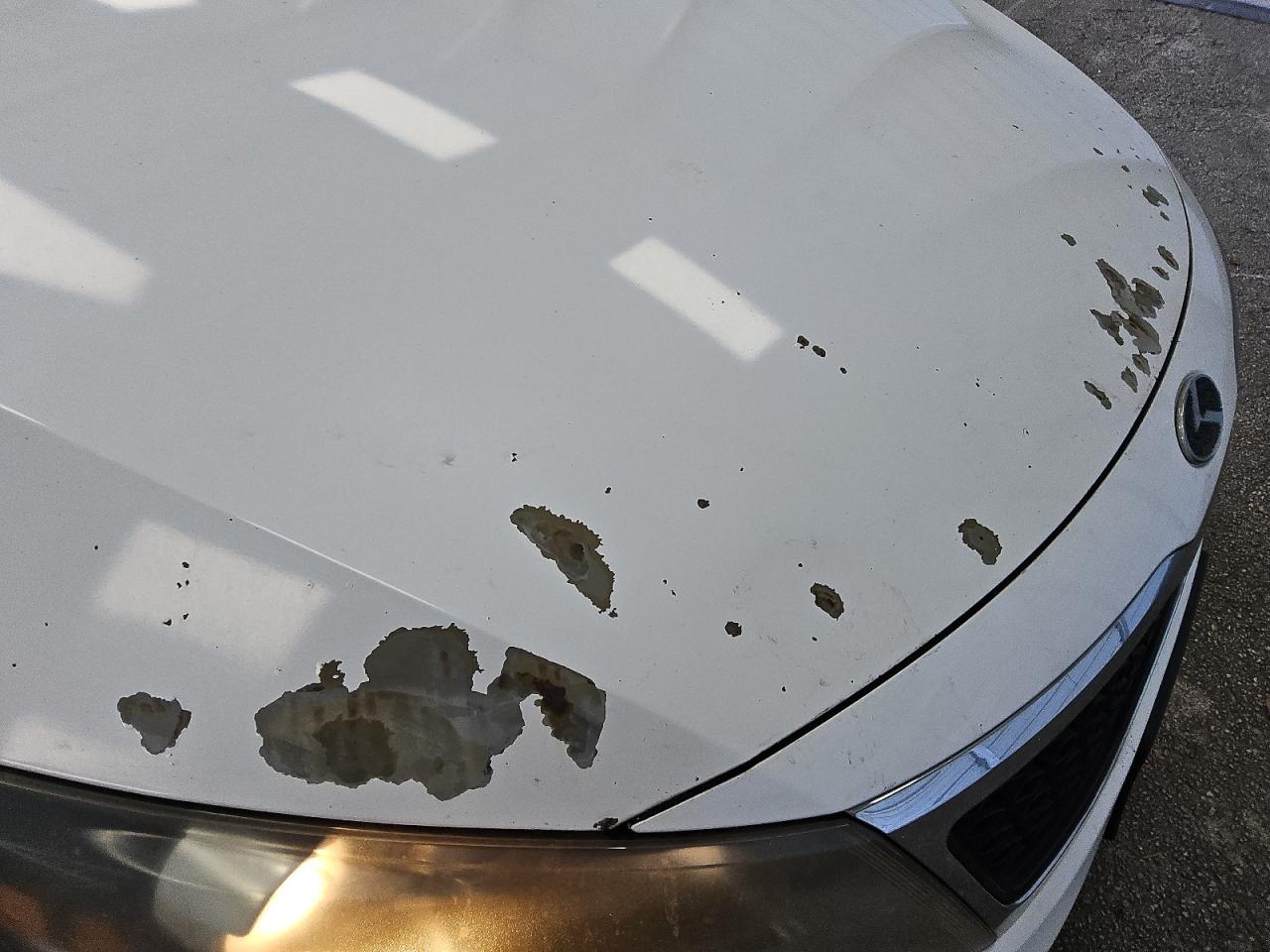 2012 Kia Optima Ex Белый vin: 5XXGN4A77CG049749 Damage: Hood, Peeling, > 12 Inches