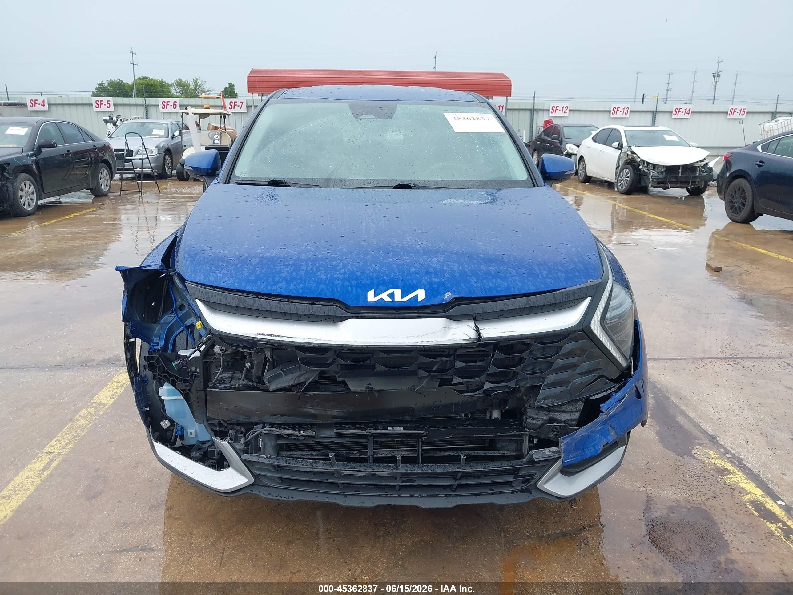 2024 Kia Sportage Ex Blue vin: 5XYK33DFXRG165903