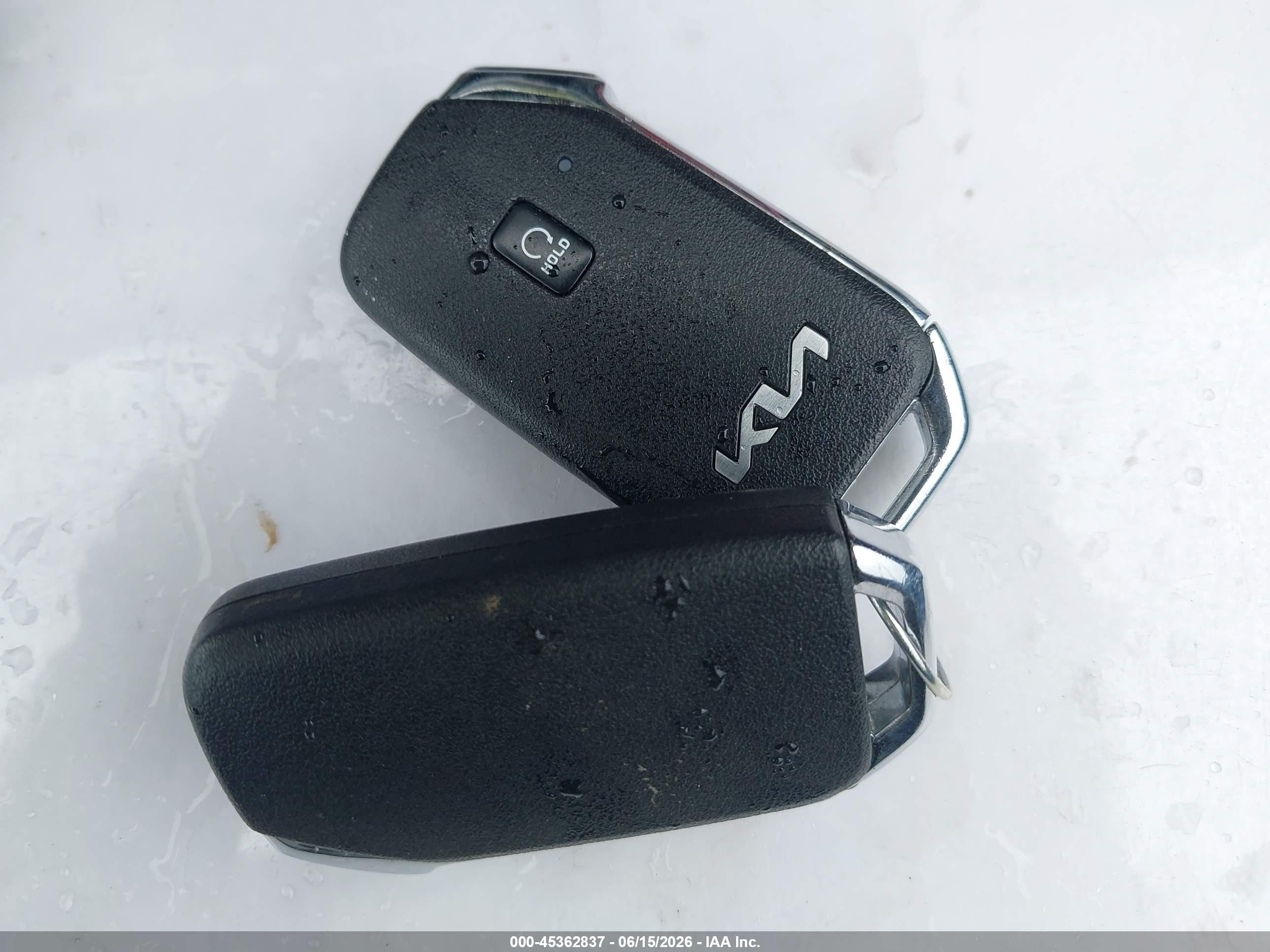 2024 Kia Sportage Ex Blue vin: 5XYK33DFXRG165903