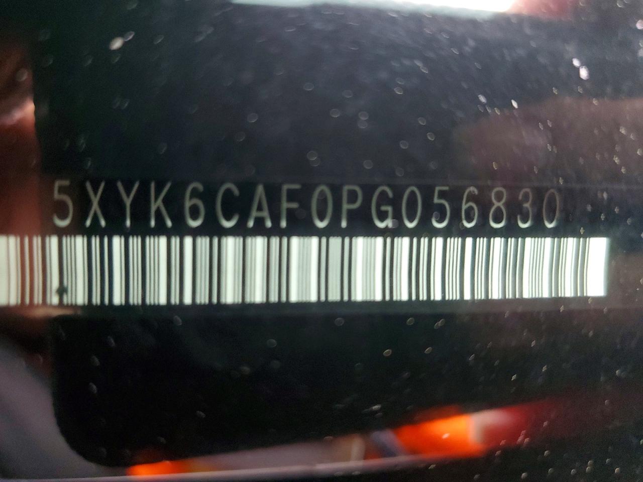 2023 Kia Sportage X Line Black vin: 5XYK6CAF0PG056830