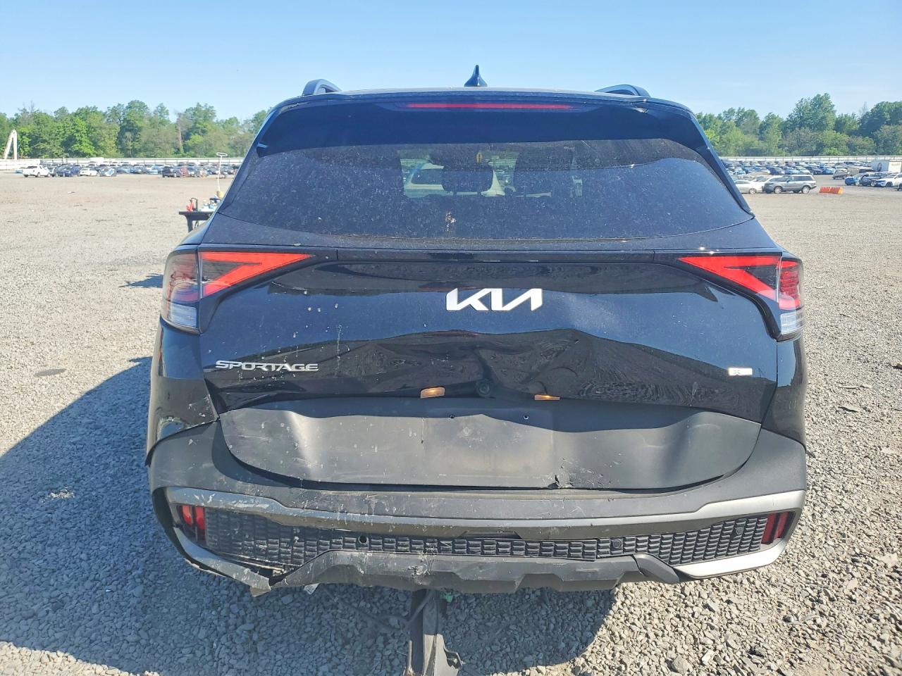 2024 Kia Sportage X Line Black vin: 5XYK6CDF7RG200999