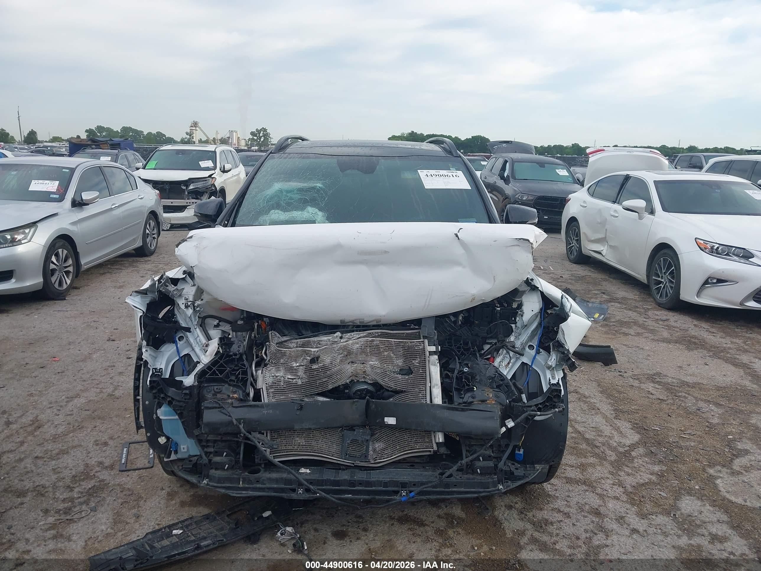 2023 Kia Sportage X-pro White vin: 5XYK7CAF4PG123944