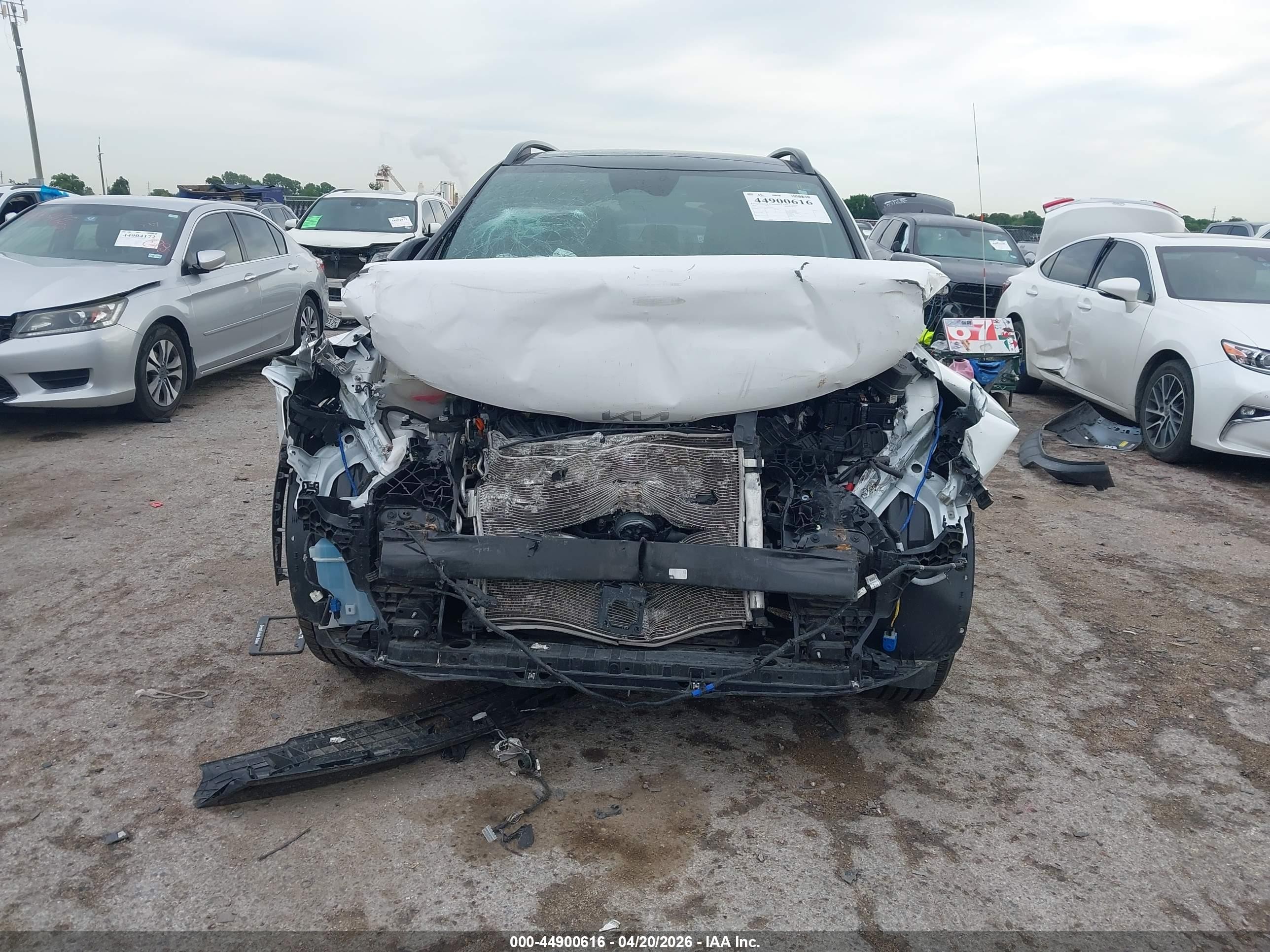 2023 Kia Sportage X-pro White vin: 5XYK7CAF4PG123944