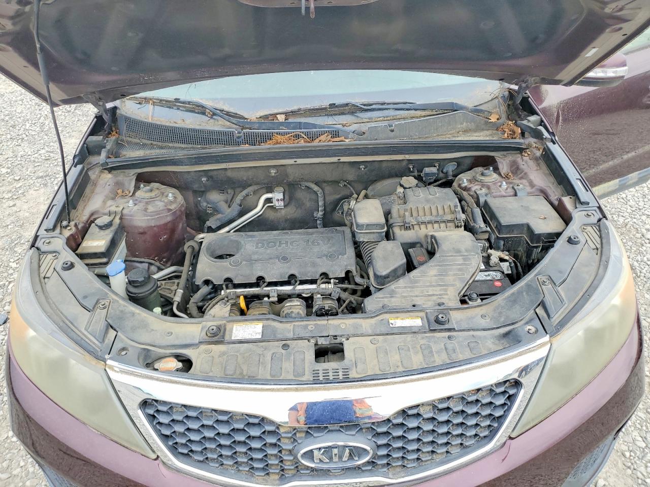 2011 Kia Sorento Lx Бордовый vin: 5XYKT3A17BG005461