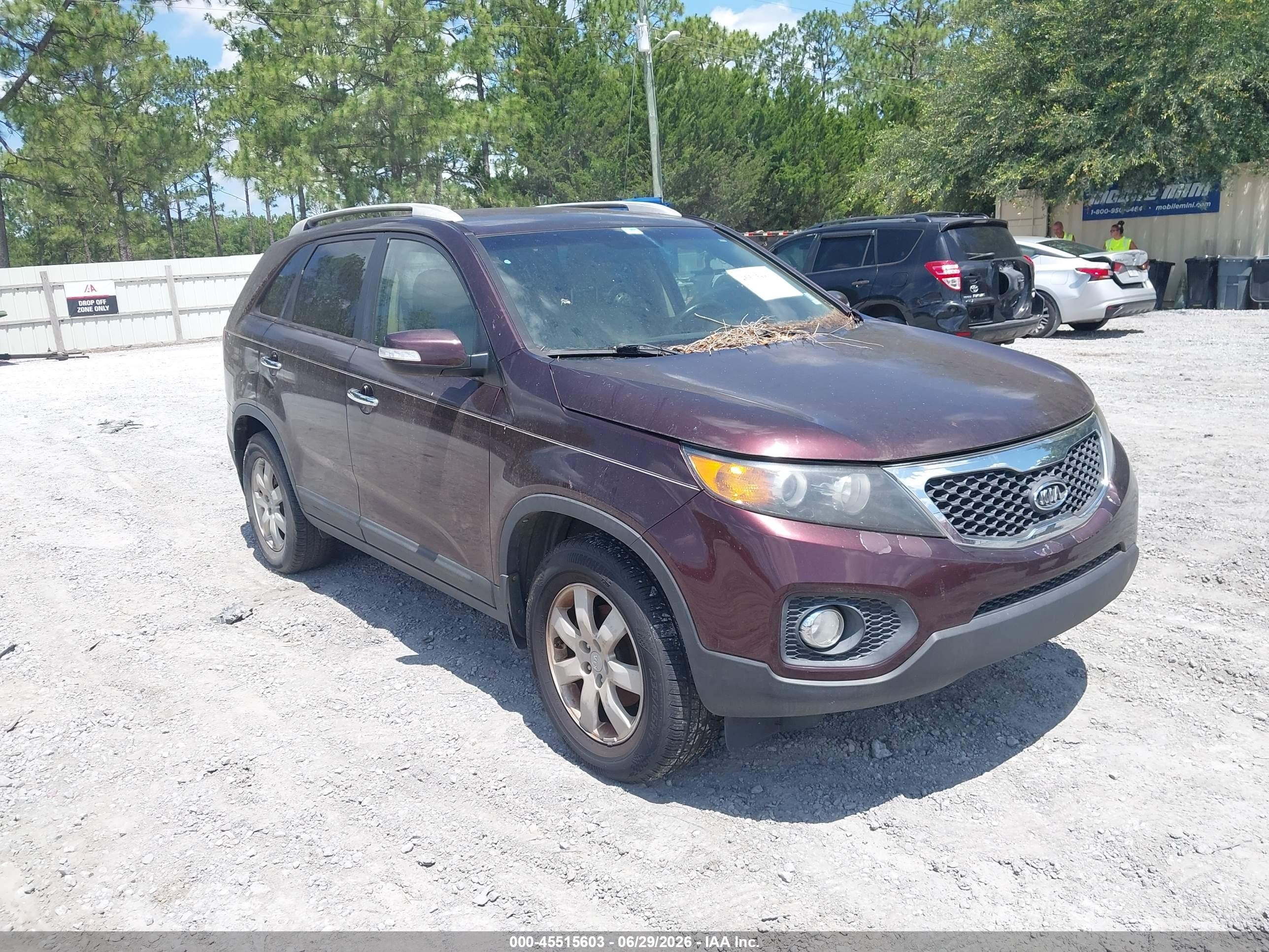 2013 Kia Sorento Lx Purple vin: 5XYKT3A64DG388127