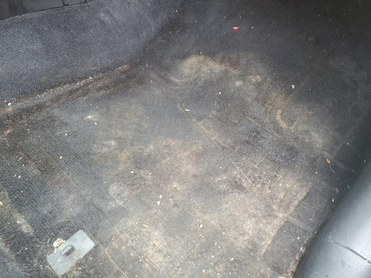 2015 Kia Sorento Lx White vin: 5XYKTCA65FG607809 Damage: Right Front Carpet, Stained, Permanent
