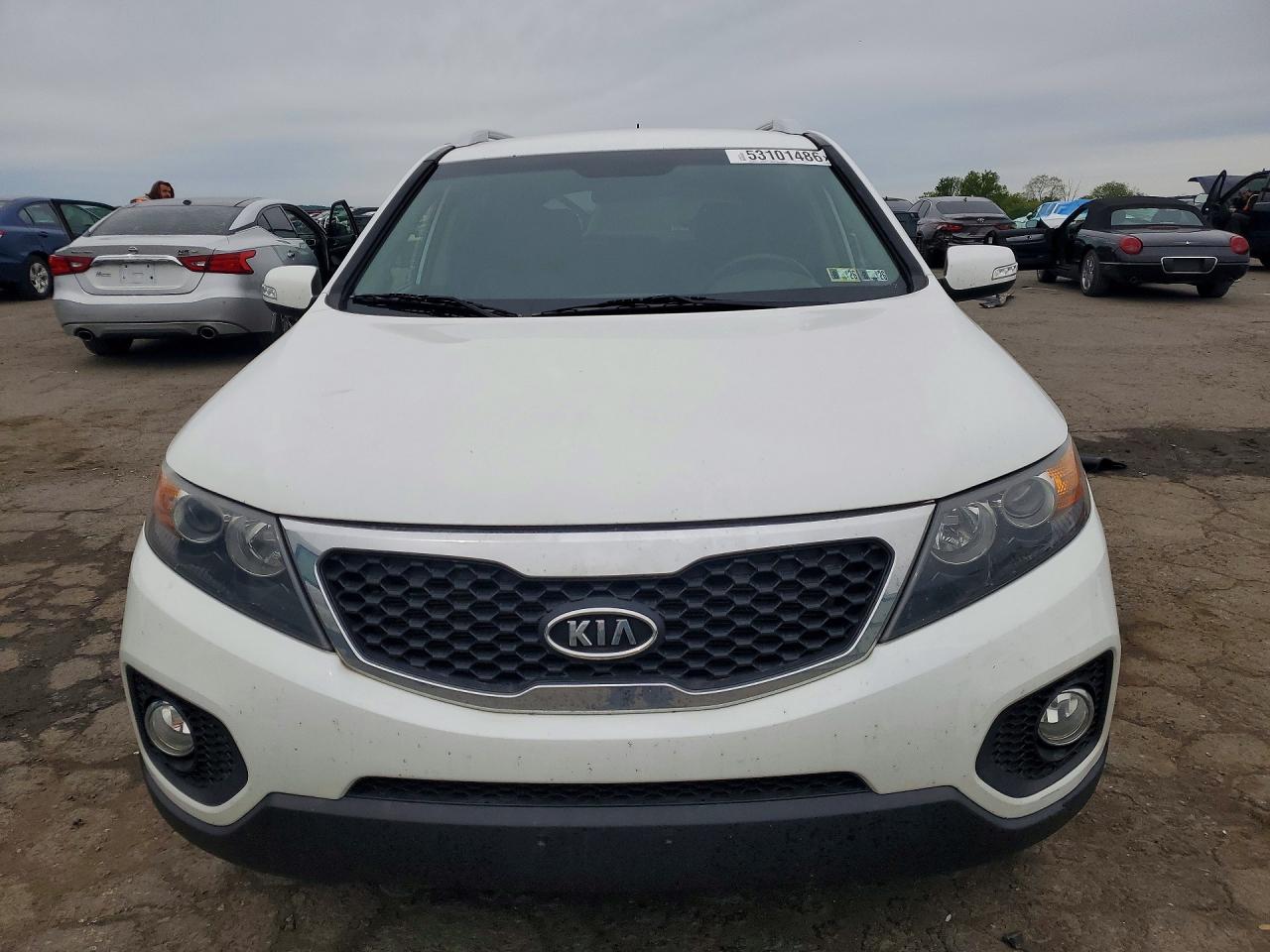 2013 Kia Sorento Ex White vin: 5XYKU3A61DG386896