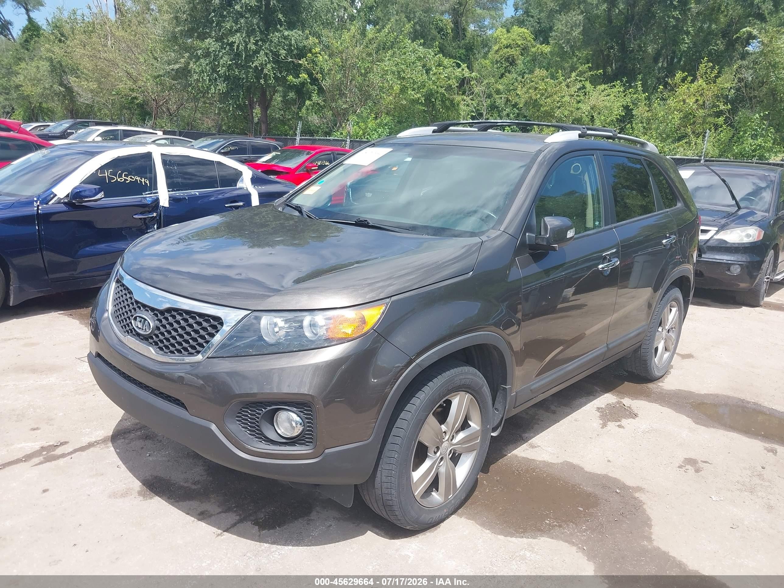 2013 Kia Sorento Ex Brown vin: 5XYKU3A61DG407794