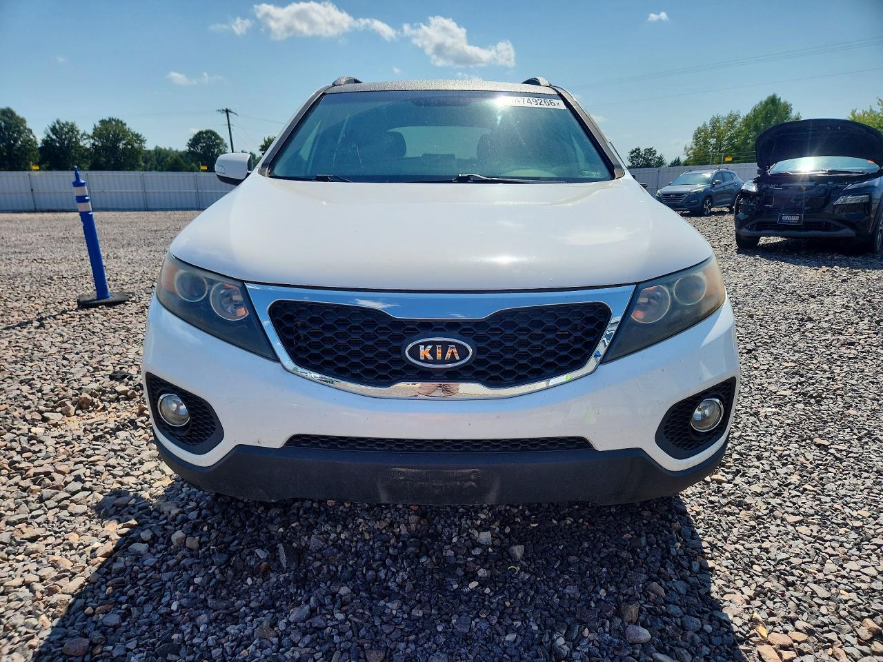 2013 Kia Sorento Ex White vin: 5XYKU3A69DG335291