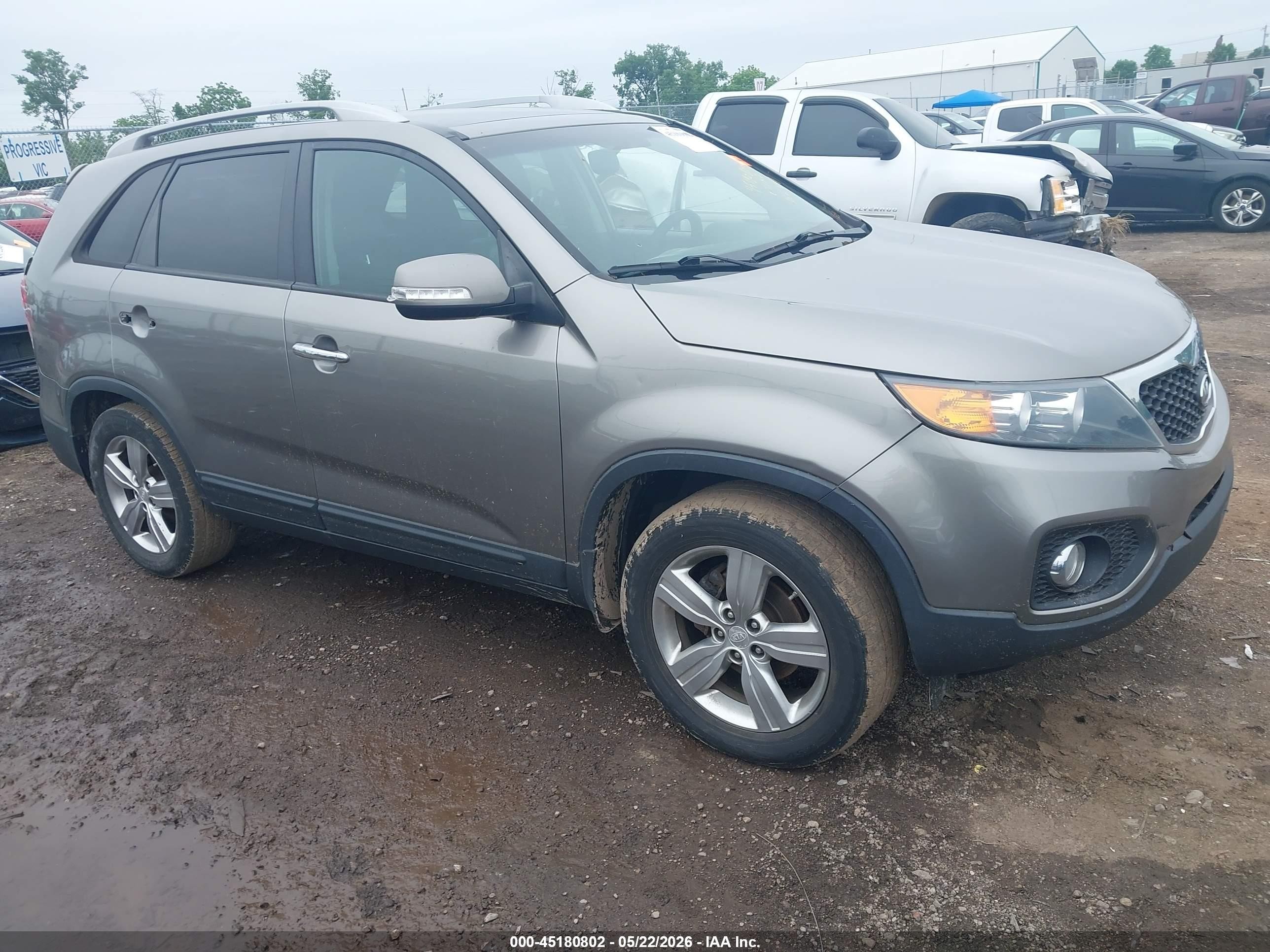 2013 Kia Sorento Ex V6 Champagne vin: 5XYKU4A23DG411770