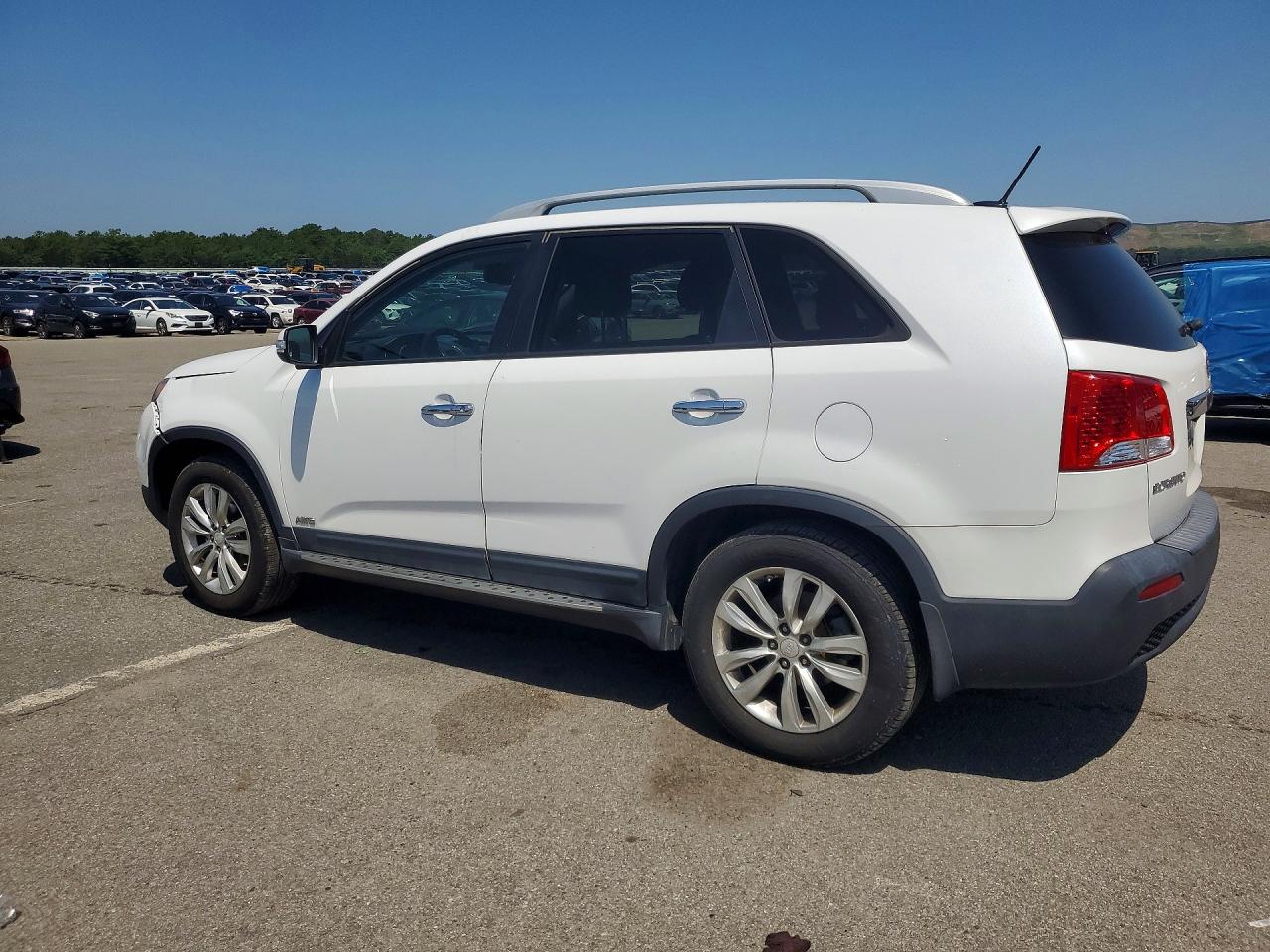 2011 Kia Sorento Ex White vin: 5XYKUDA20BG168481
