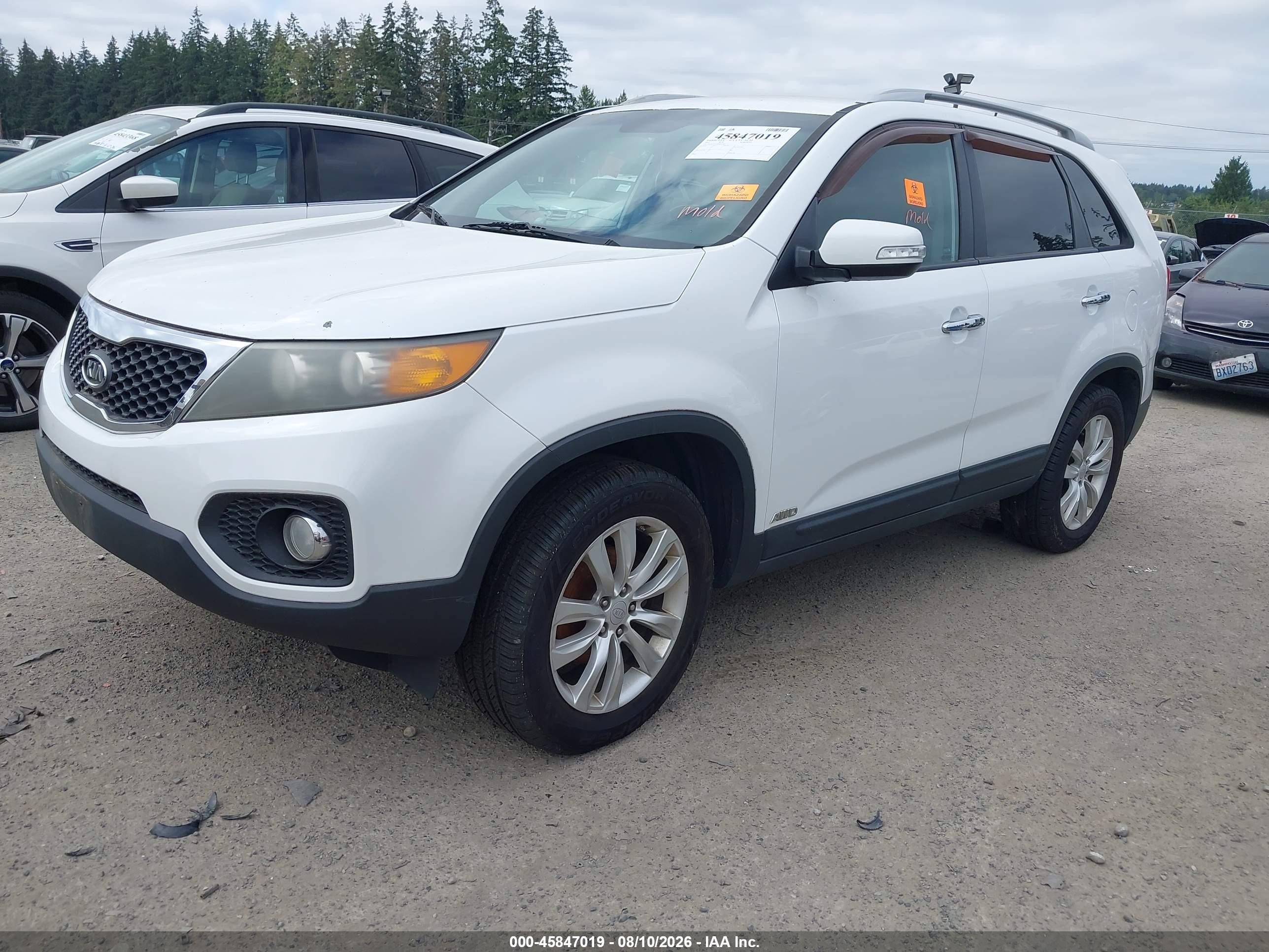 2011 Kia Sorento Ex V6 White vin: 5XYKUDA21BG115014