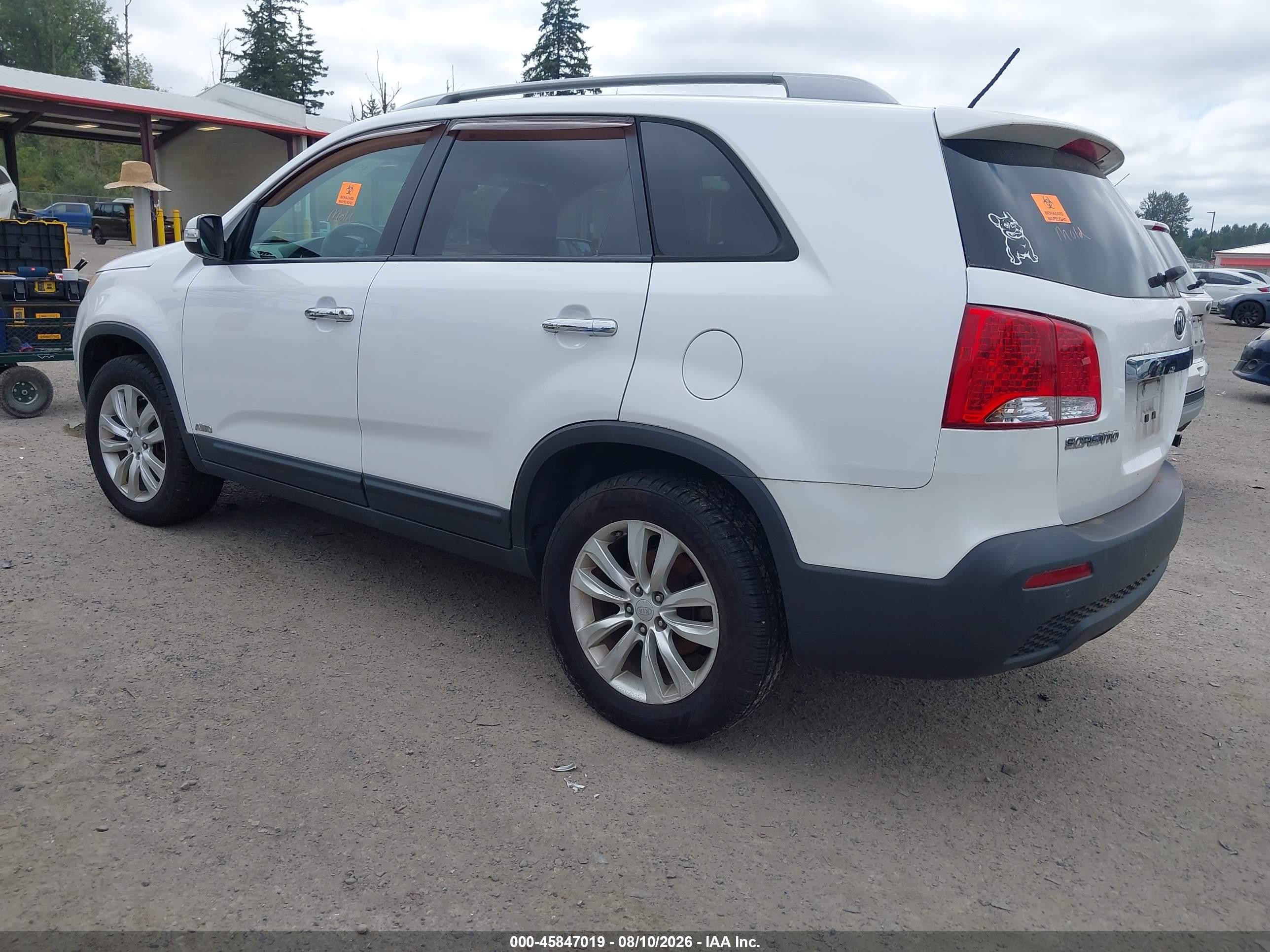 2011 Kia Sorento Ex V6 White vin: 5XYKUDA21BG115014