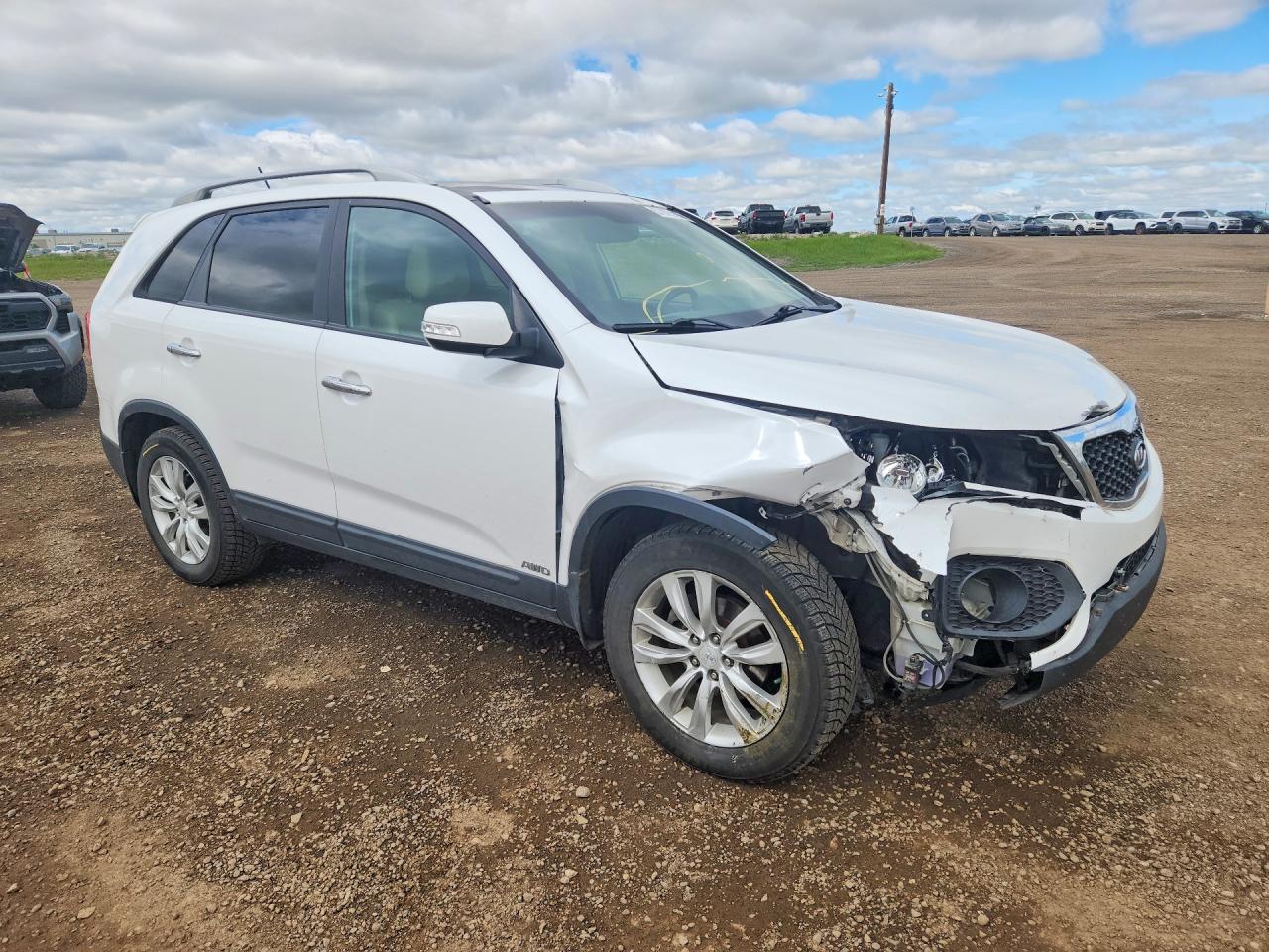 2011 Kia Sorento Ex Белый vin: 5XYKUDA23BG126175