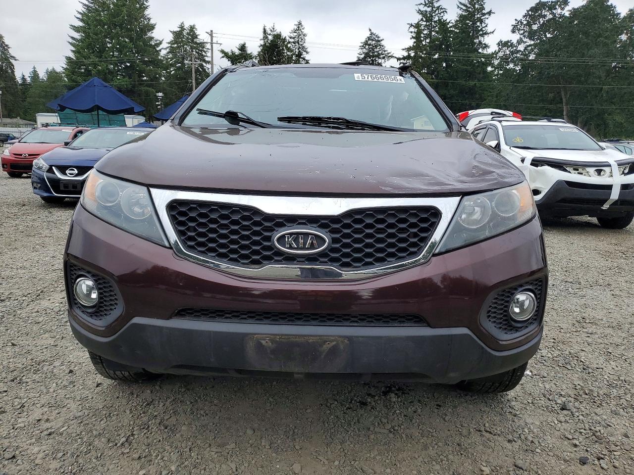 2013 Kia Sorento Ex Maroon vin: 5XYKUDA2XDG346612