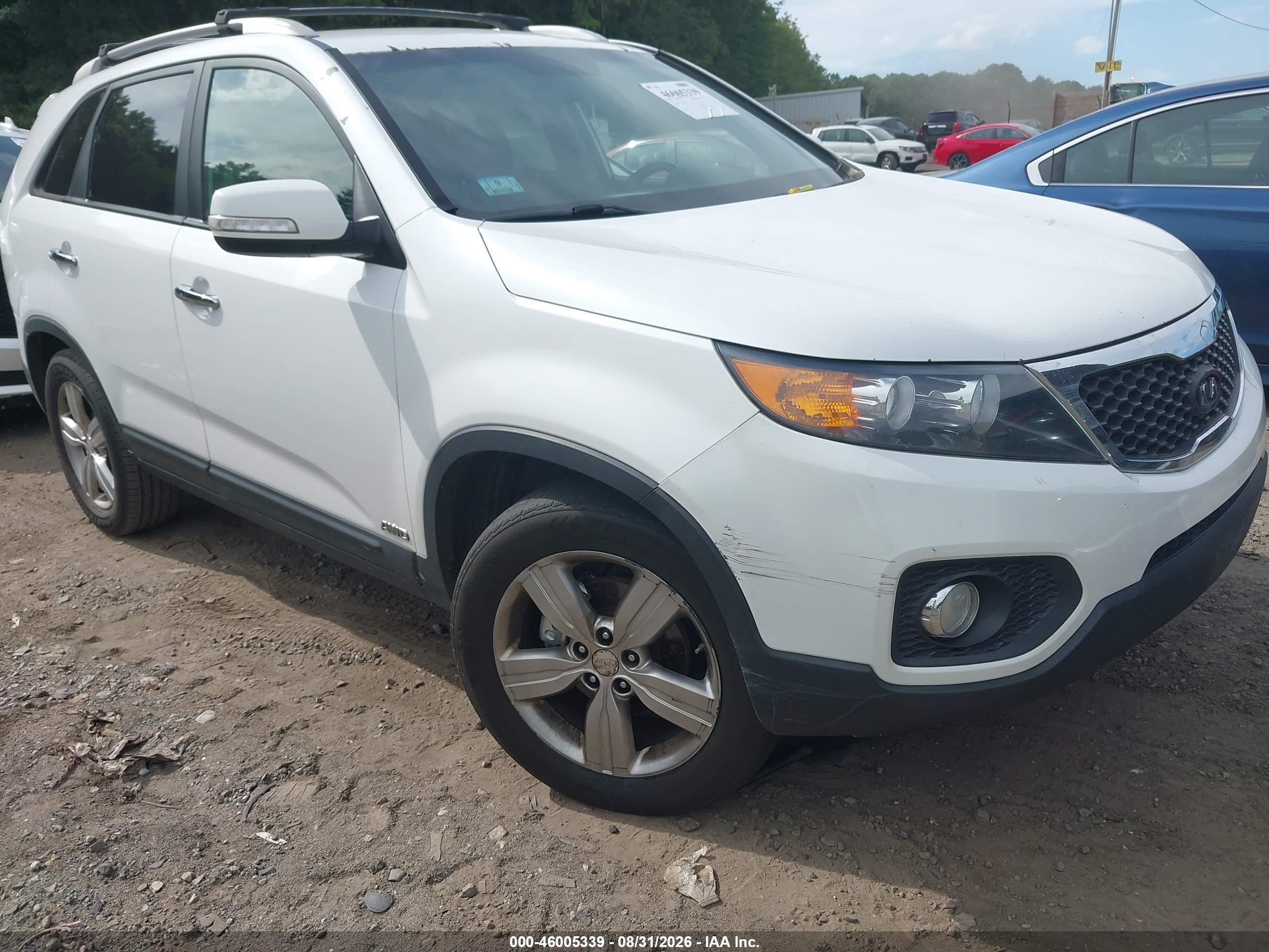 2013 Kia Sorento Ex White vin: 5XYKUDA6XDG324113