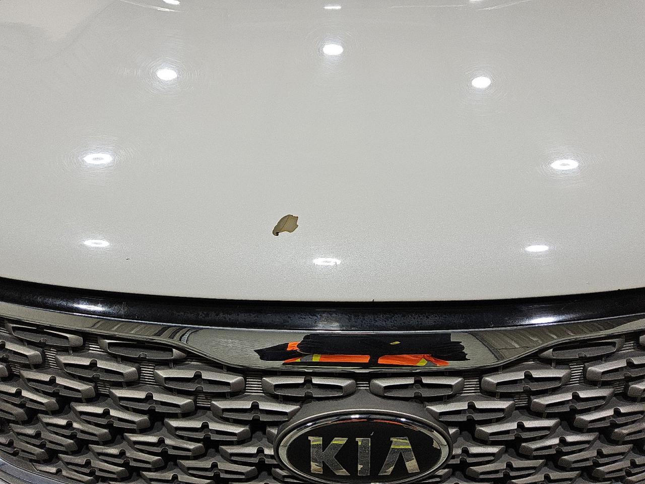 2015 Kia Sorento Sx Белый vin: 5XYKW4A70FG613250 Damage: Hood, Peeling, 1 To 2 Inches