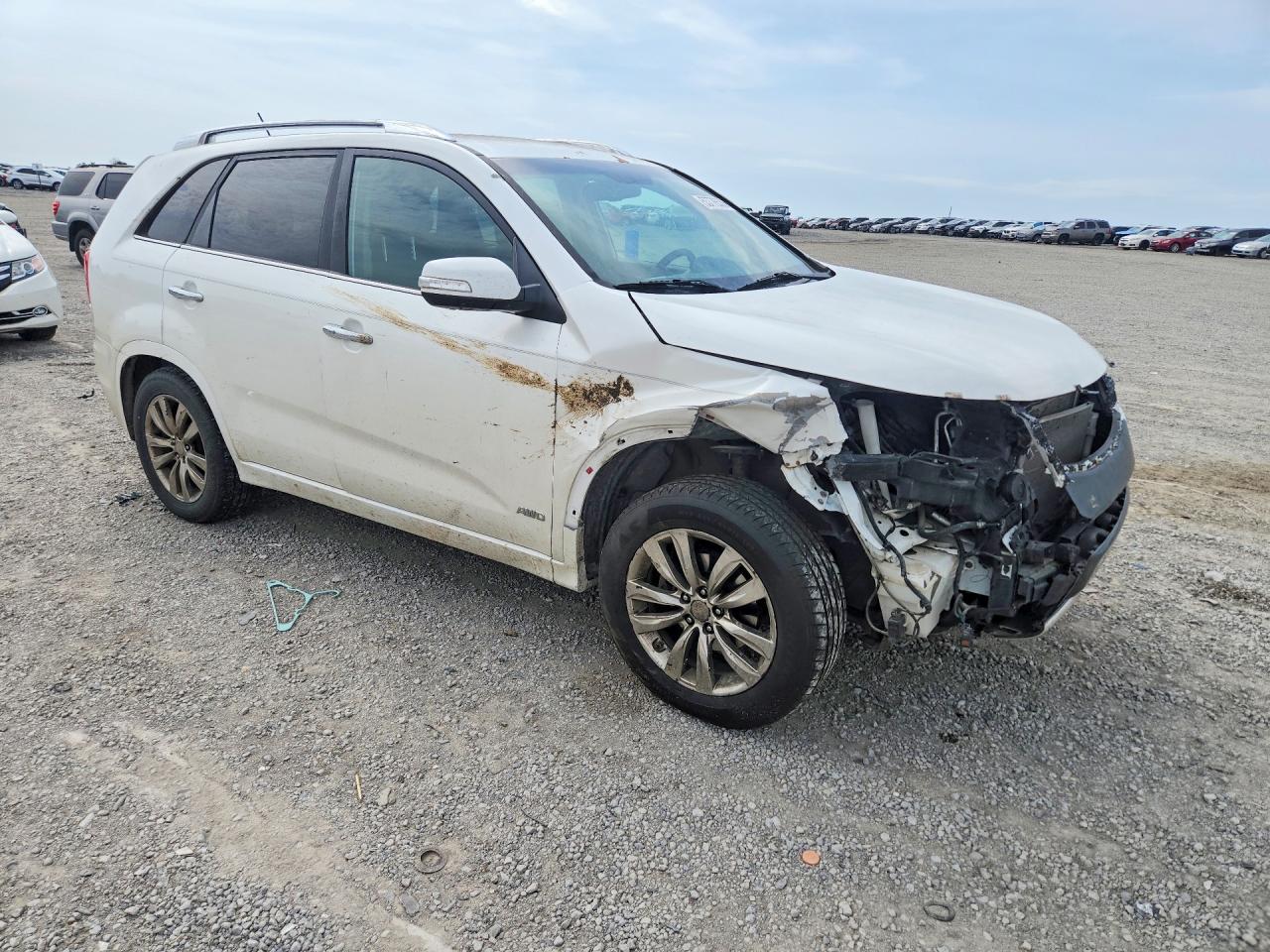 2013 Kia Sorento Sx White vin: 5XYKWDA23DG389263