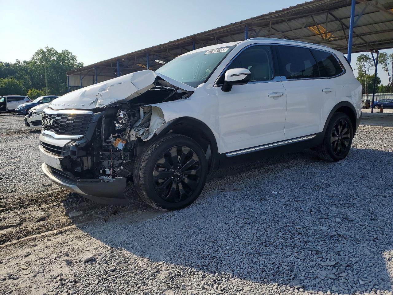 2022 Kia Telluride Ex White vin: 5XYP34HC6NG208414