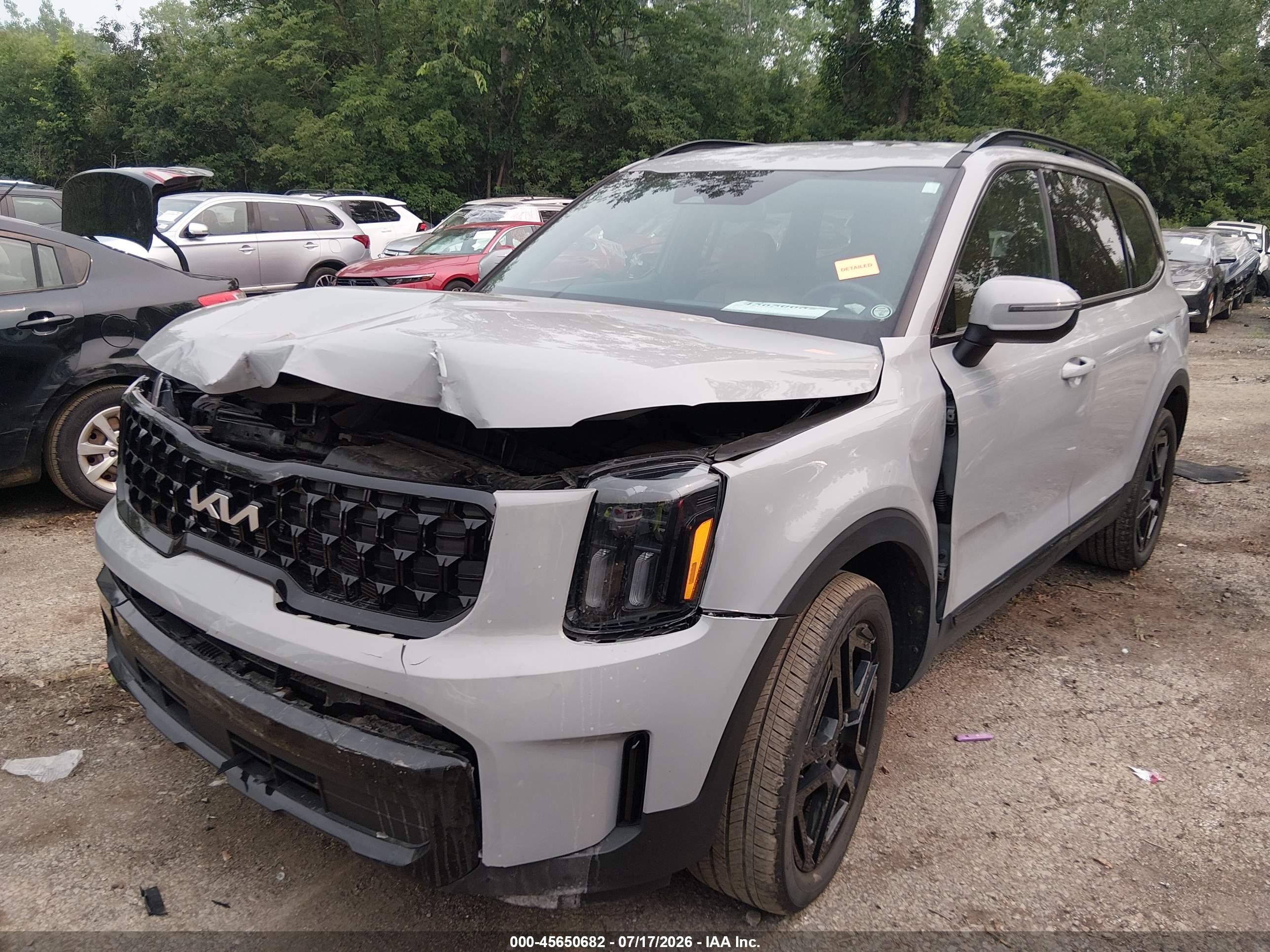 2024 Kia Telluride Ex X-line Gray vin: 5XYP3DGC2RG501234