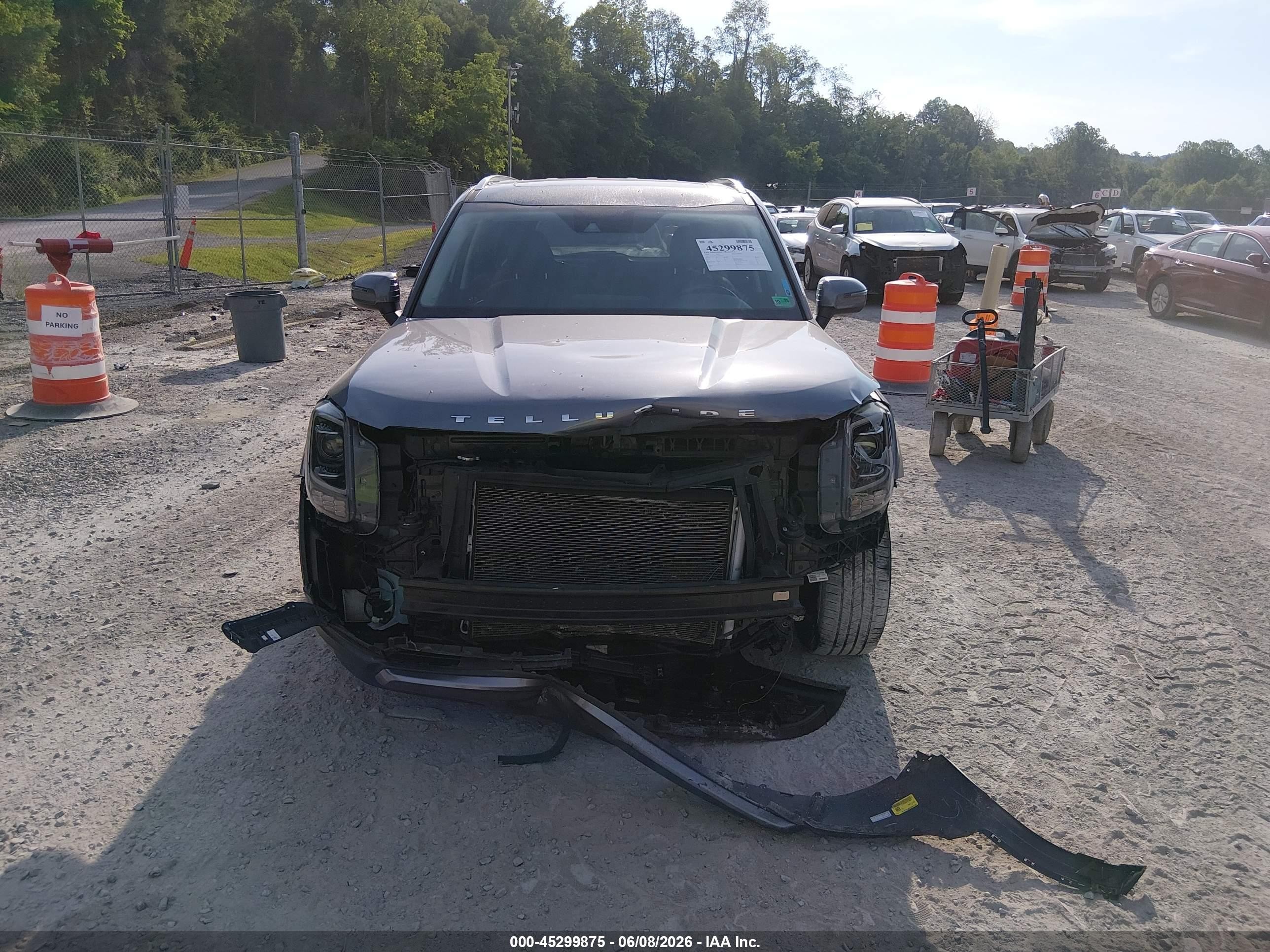 2020 Kia Telluride Ex Blue vin: 5XYP3DHC2LG043541