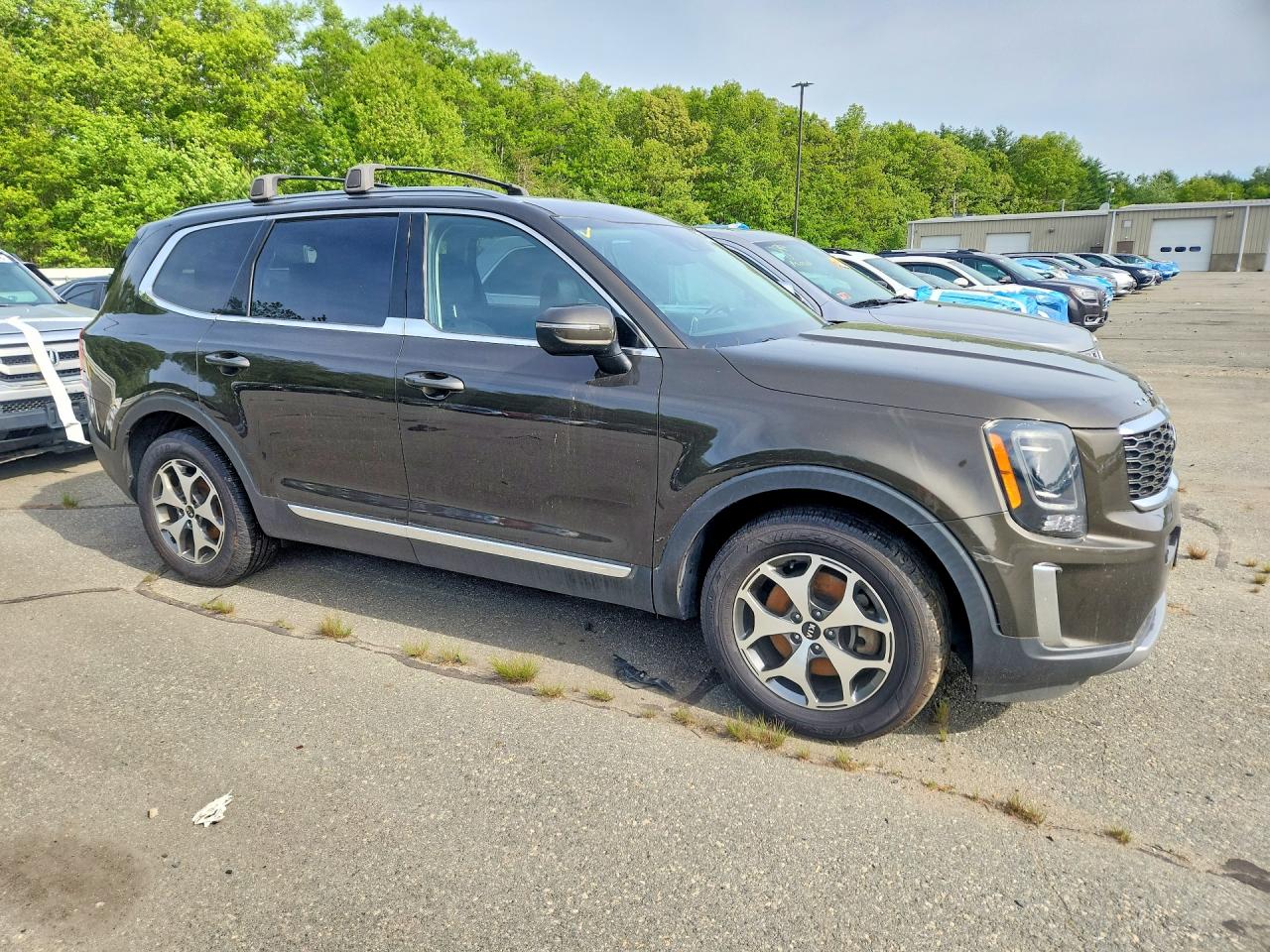 2021 Kia Telluride Ex Green vin: 5XYP3DHC7MG103007
