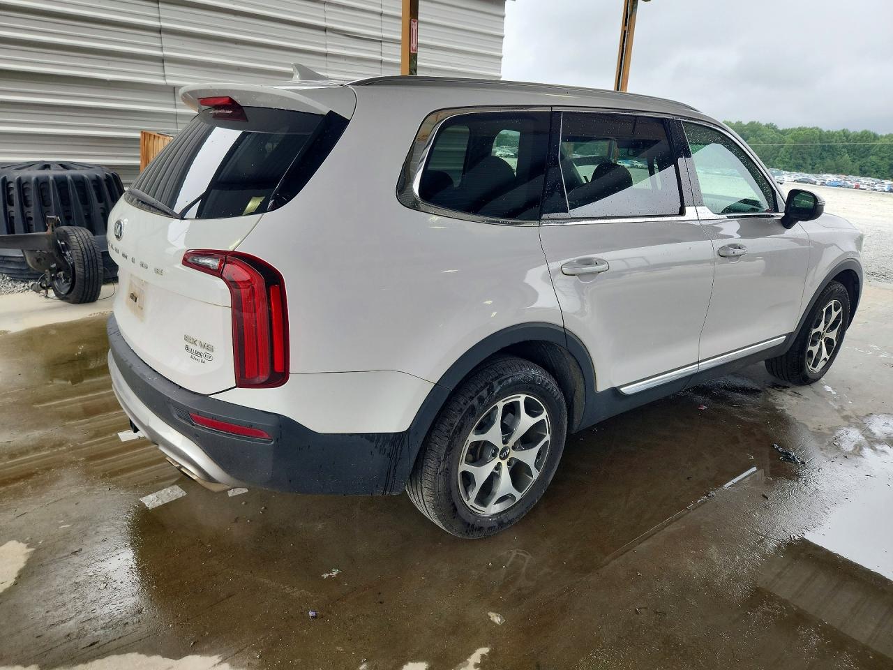 2021 Kia Telluride Ex White vin: 5XYP3DHC7MG162607