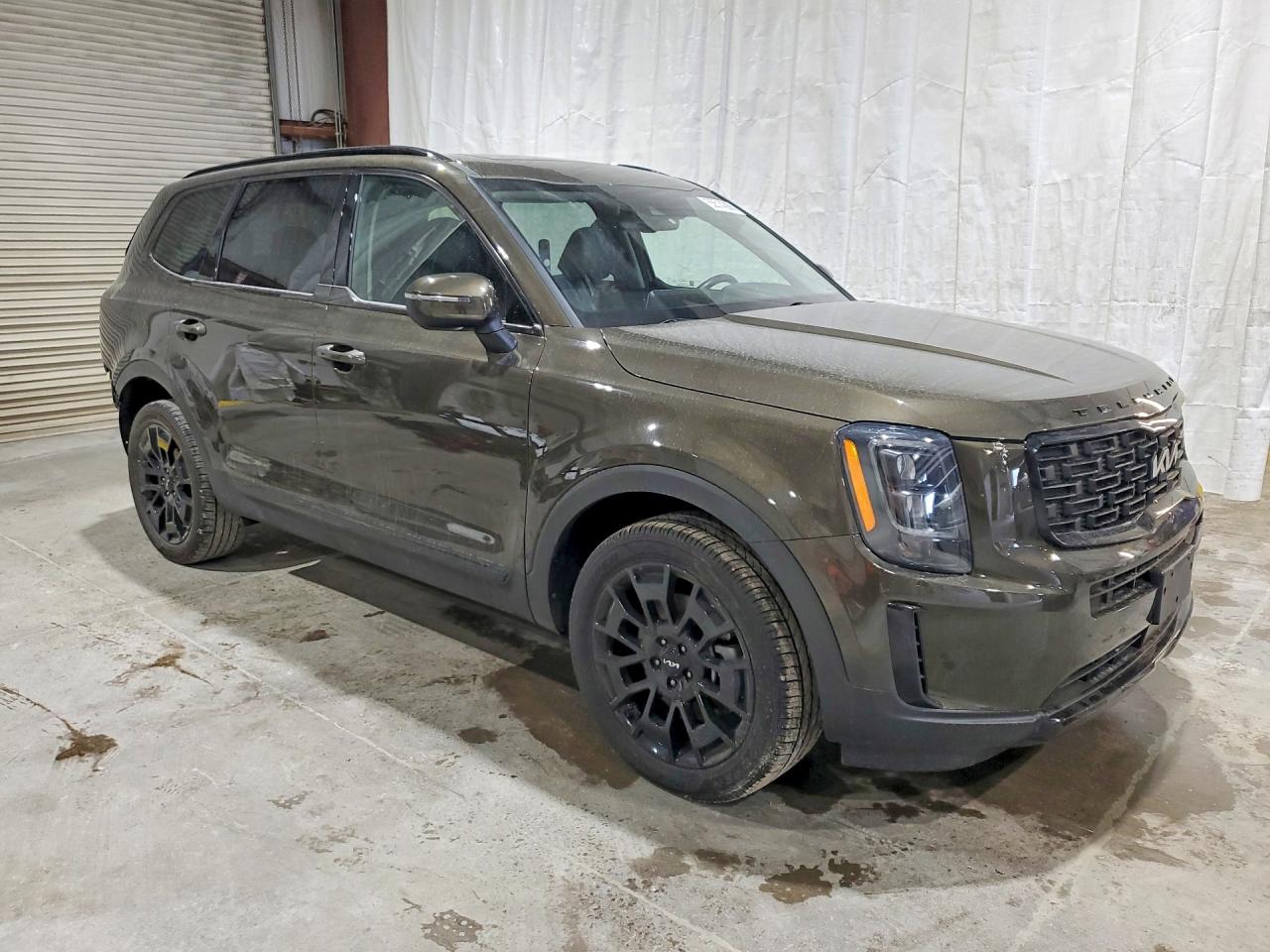 2022 Kia Telluride Ex Коричневый vin: 5XYP3DHC7NG247495