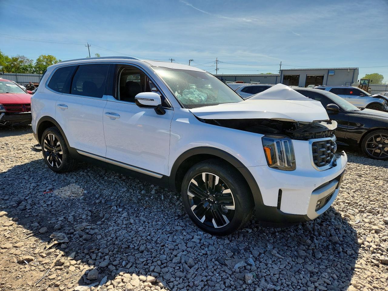 2024 Kia Telluride Sx White vin: 5XYP54GC0RG497355