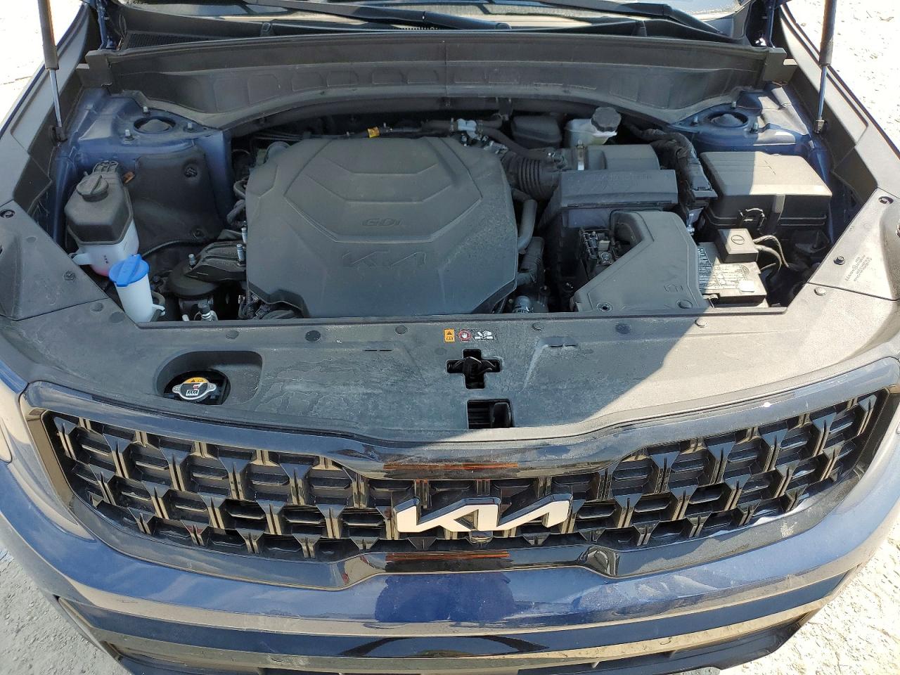 2024 Kia Telluride Sx-prestige X-pro Blue vin: 5XYP5DGC1RG518827
